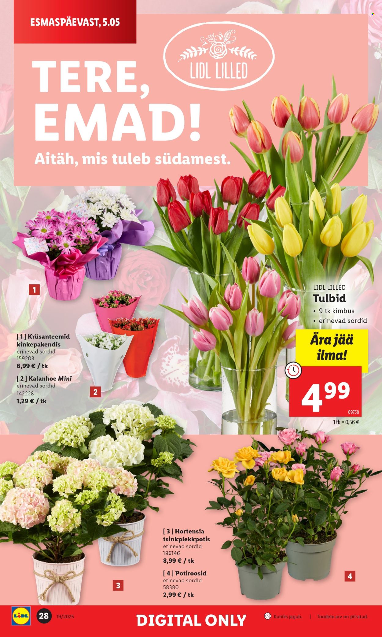 lidl - Lidl kliendileht - Kliendileht (5.05 - 11.05.2025) - page: 28 lidl - Lidl kliendileht - Kliendileht (5.05 - 11.05.2025) - page: 28
