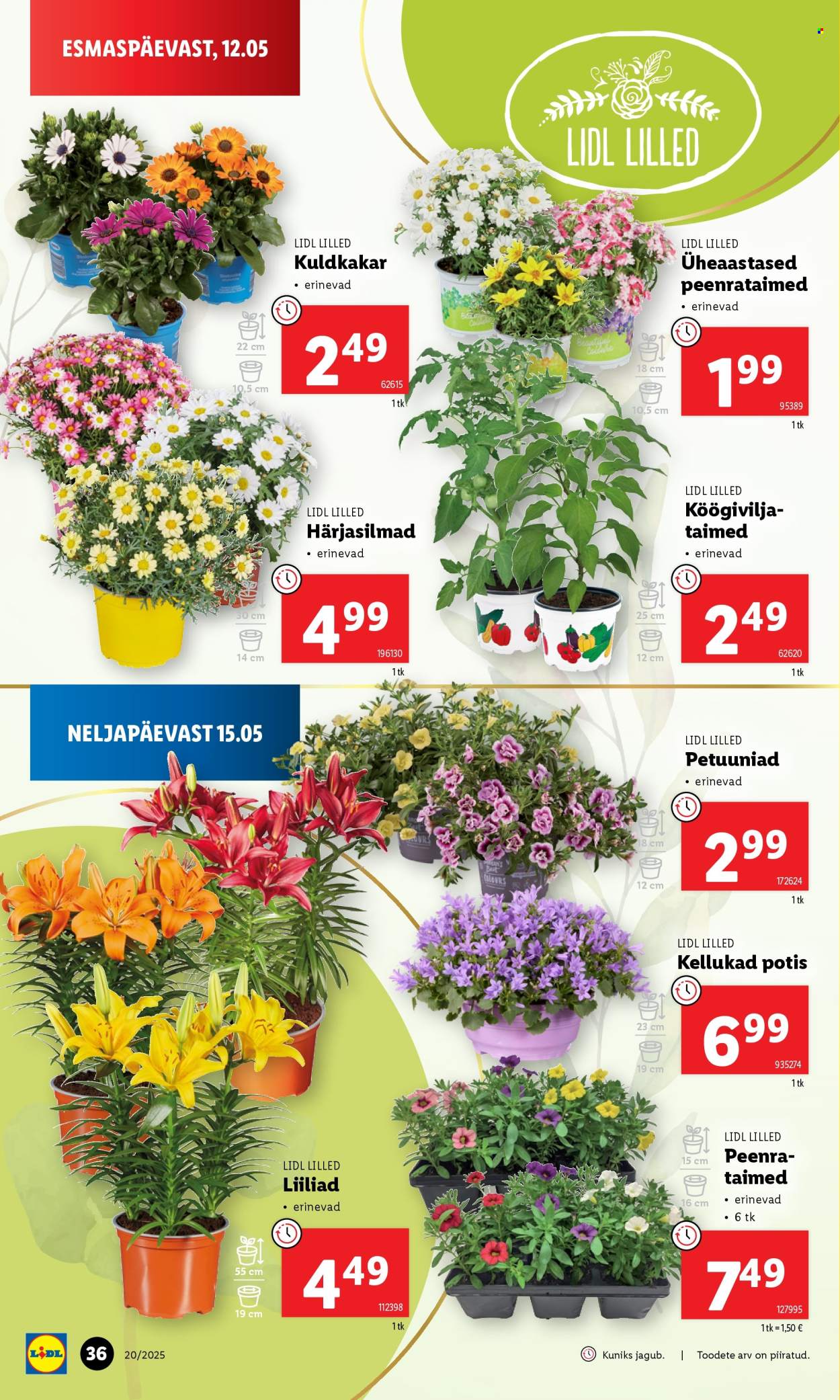 lidl - Lidl kliendileht - Nädalalõpu pakkumised (15.05 - 18.05.2025) - page: 36 lidl - Lidl kliendileht - Nädalalõpu pakkumised (15.05 - 18.05.2025) - page: 36