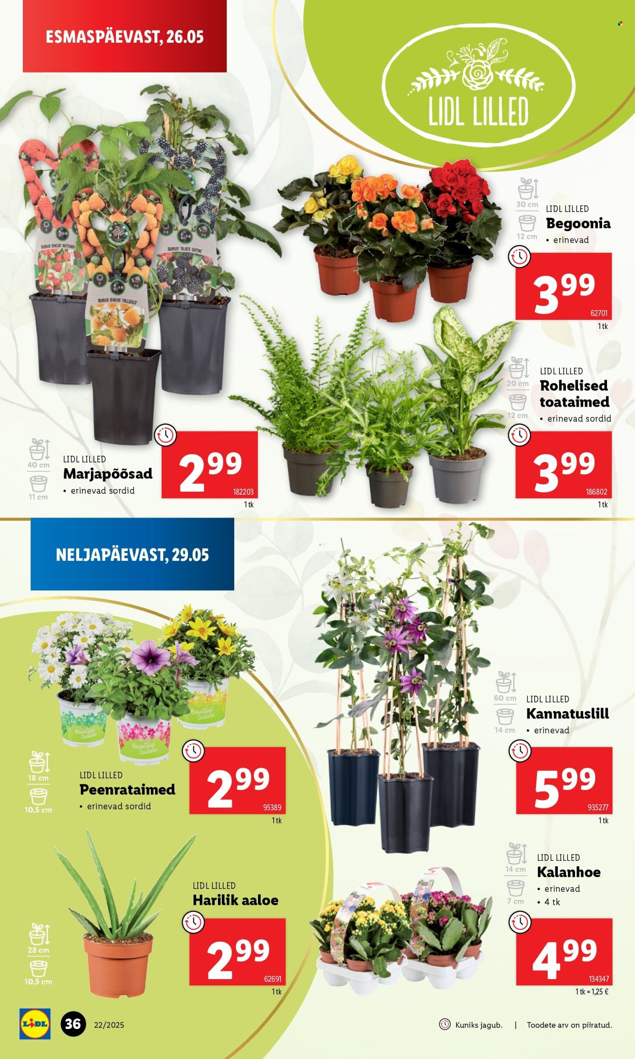 lidl - Lidl kliendileht - Nädalalõpu pakkumised (29.05 - 1.06.2025) - page: 36 lidl - Lidl kliendileht - Nädalalõpu pakkumised (29.05 - 1.06.2025) - page: 36