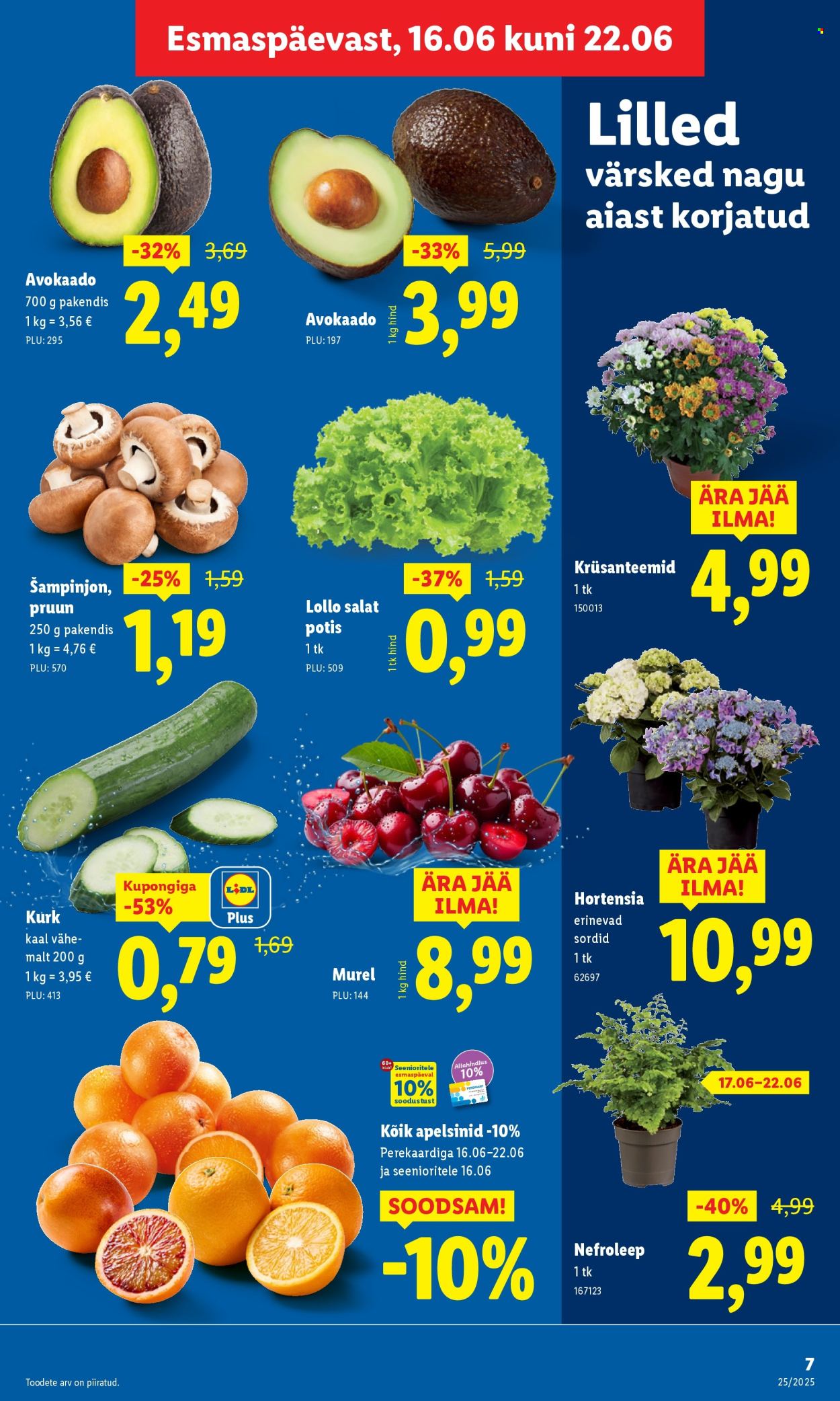 lidl - Lidl kliendileht - Kliendileht (16.06 - 22.06.2025) - page: 7 lidl - Lidl kliendileht - Kliendileht (16.06 - 22.06.2025) - page: 7