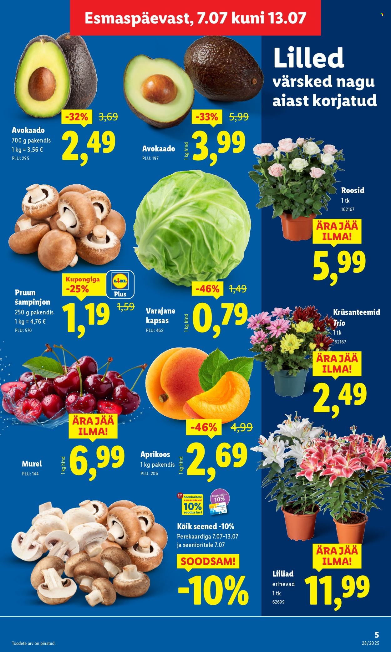 lidl - Lidl kliendileht - kliendileht (7.07 - 13.07.2025) - page: 5 lidl - Lidl kliendileht - kliendileht (7.07 - 13.07.2025) - page: 5