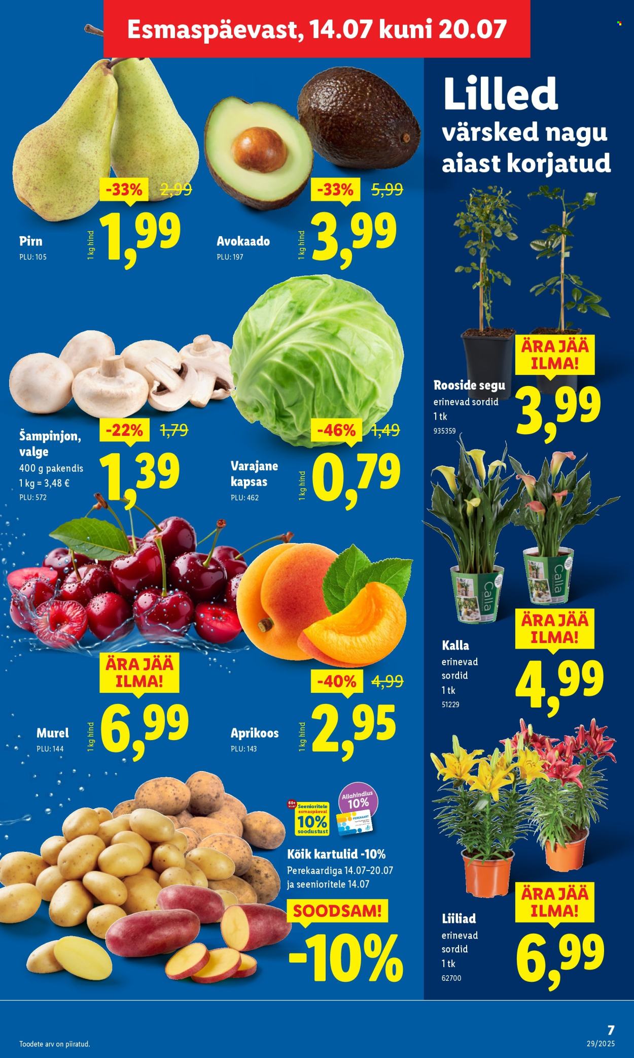 lidl - Lidl kliendileht - Kliendileht (14.07 - 20.07.2025) - page: 7 lidl - Lidl kliendileht - Kliendileht (14.07 - 20.07.2025) - page: 7