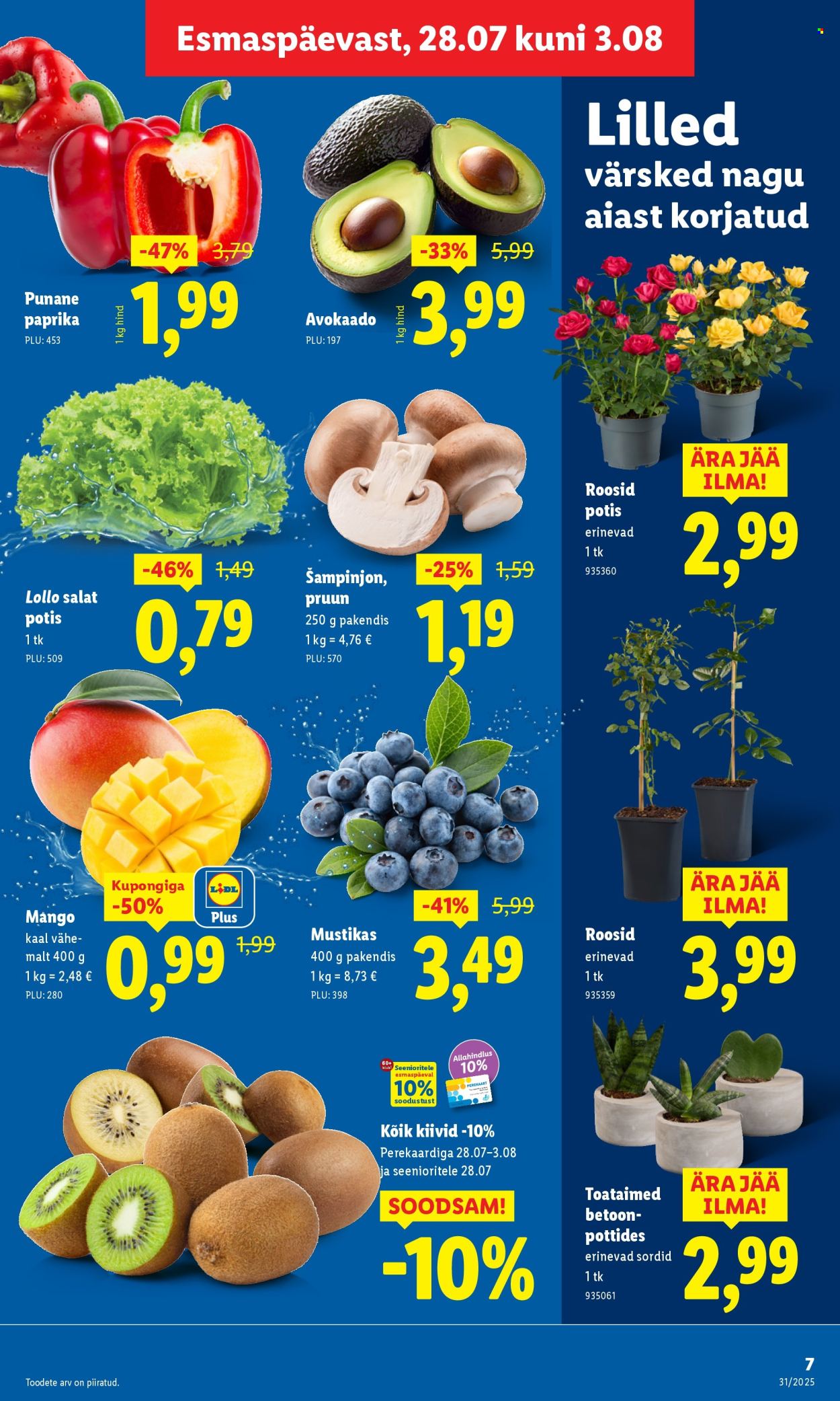 lidl - Lidl kliendileht - Kliendileht (31.07 - 3.08.2025) - page: 7 lidl - Lidl kliendileht - Kliendileht (31.07 - 3.08.2025) - page: 7