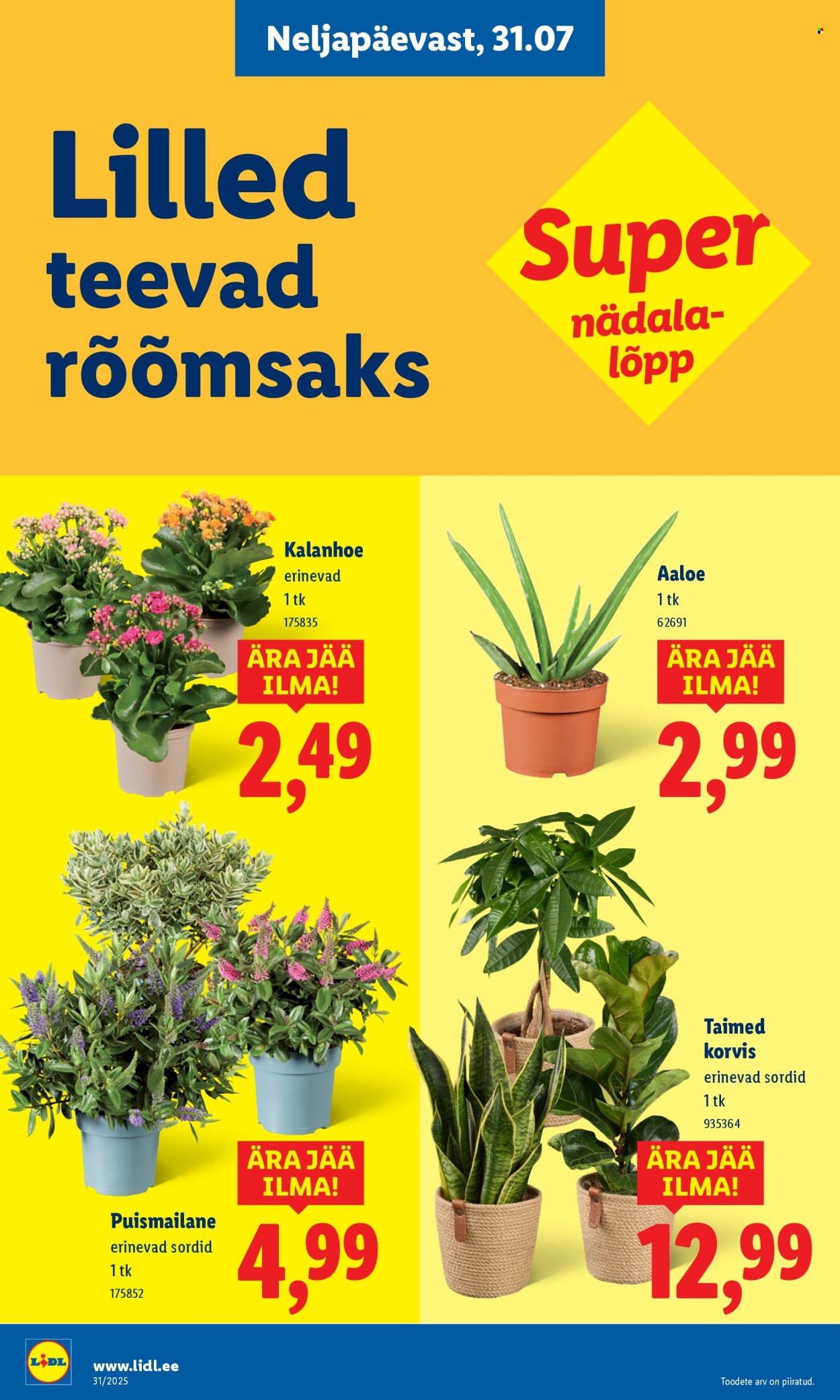 lidl - Lidl kliendileht - Kliendileht (31.07 - 3.08.2025) - page: 8 lidl - Lidl kliendileht - Kliendileht (31.07 - 3.08.2025) - page: 8