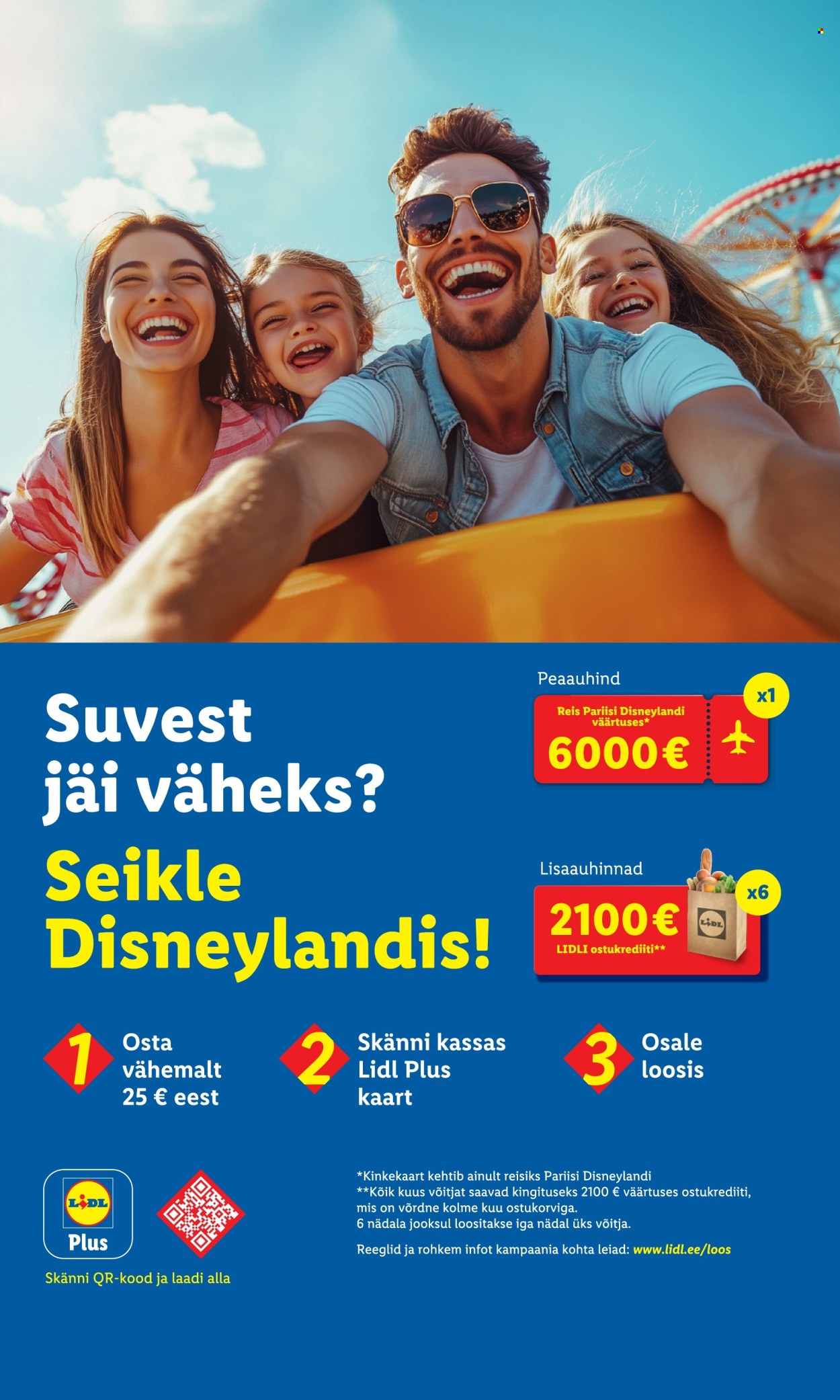 lidl - Lidl kliendileht - Kliendileht (4.08 - 10.08.2025) - page: 3