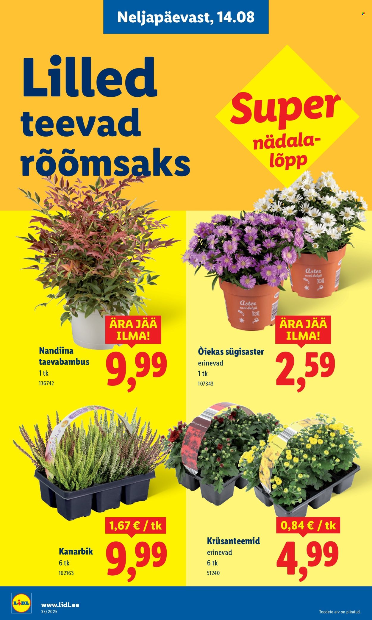 lidl - Lidl kliendileht - Kliendileht (11.08 - 17.08.2025) - page: 60 lidl - Lidl kliendileht - Kliendileht (11.08 - 17.08.2025) - page: 60
