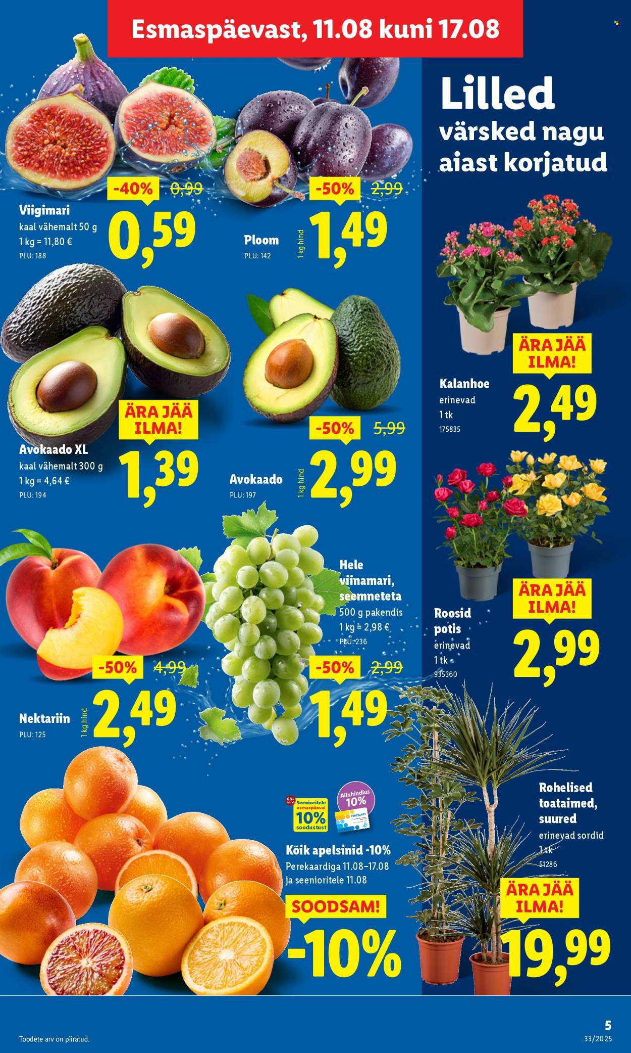 lidl - Lidl kliendileht - Kliendileht (11.08 - 17.08.2025) - page: 5 lidl - Lidl kliendileht - Kliendileht (11.08 - 17.08.2025) - page: 5