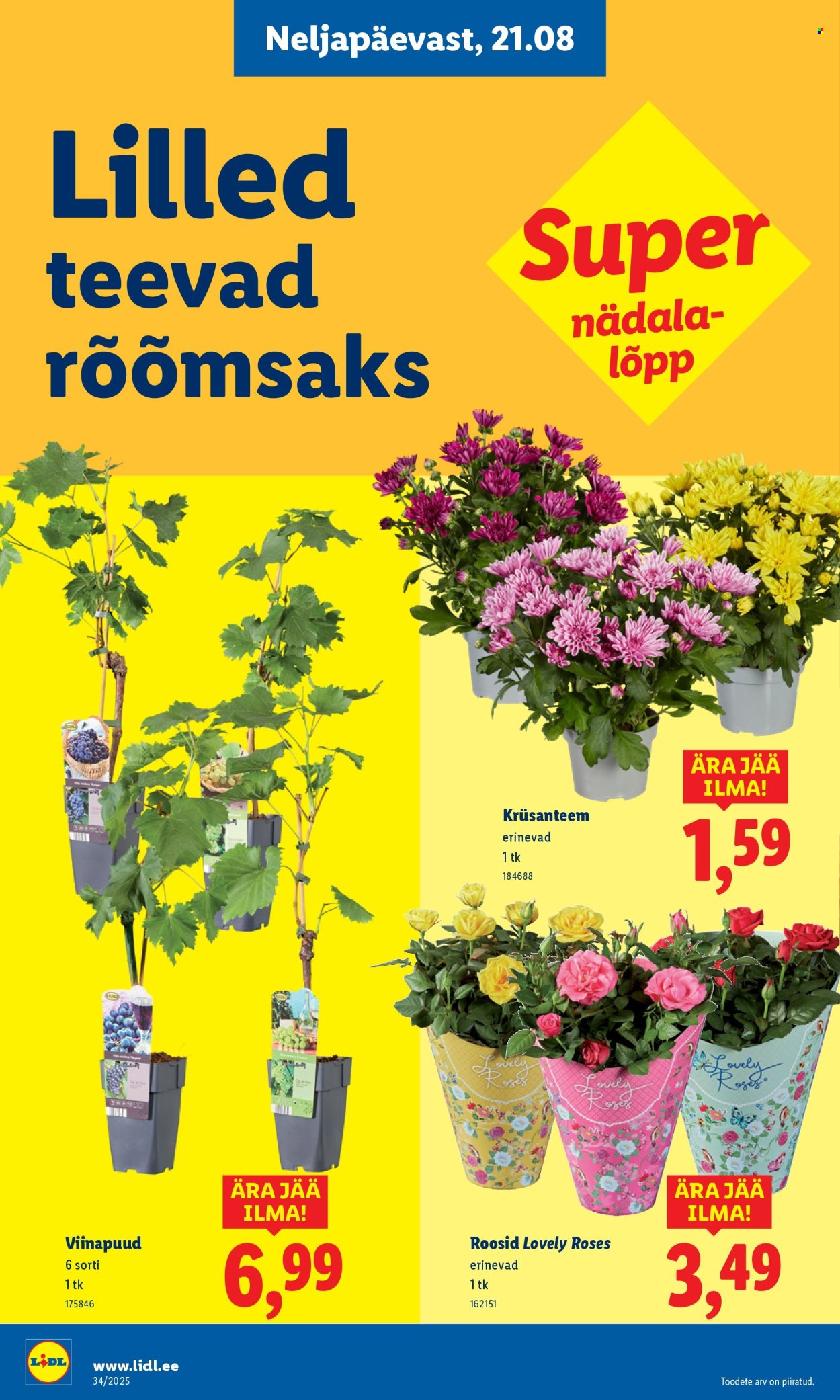 lidl - Lidl kliendileht - Kliendileht (18.08 - 24.08.2025) - page: 60 lidl - Lidl kliendileht - Kliendileht (18.08 - 24.08.2025) - page: 60