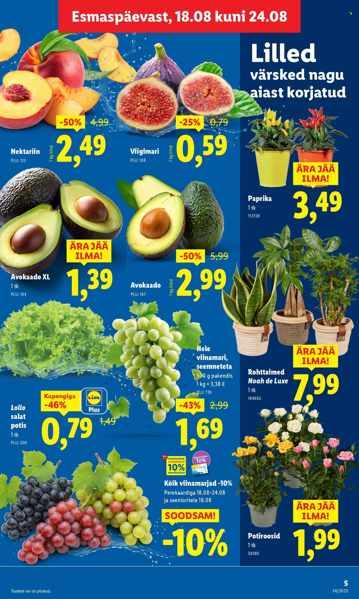 lidl - Lidl kliendileht - Kliendileht (18.08 - 24.08.2025) - page: 5 lidl - Lidl kliendileht - Kliendileht (18.08 - 24.08.2025) - page: 5