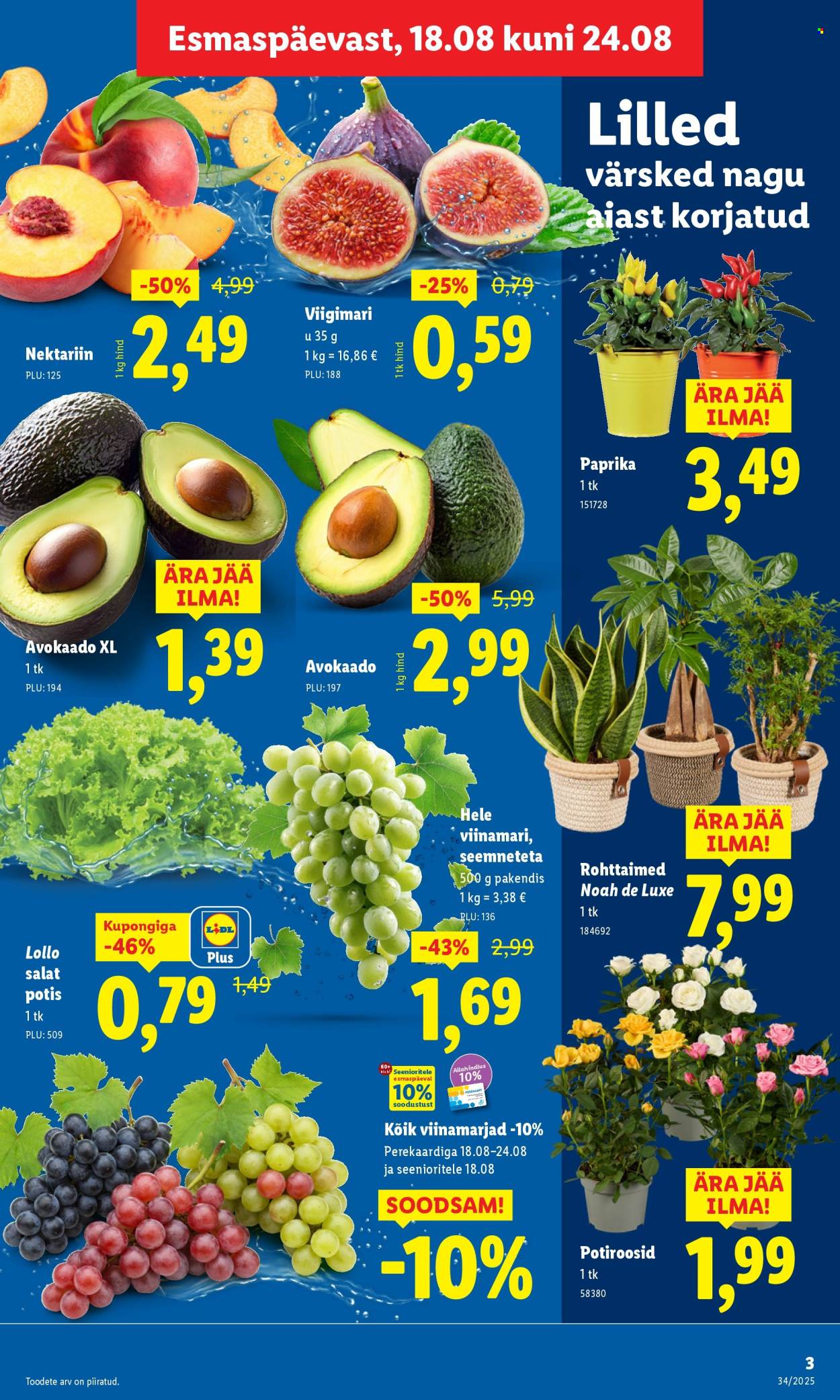 lidl - Lidl kliendileht - Nädalalõpu pakkumised (21.08 - 24.08.2025) - page: 3 lidl - Lidl kliendileht - Nädalalõpu pakkumised (21.08 - 24.08.2025) - page: 3
