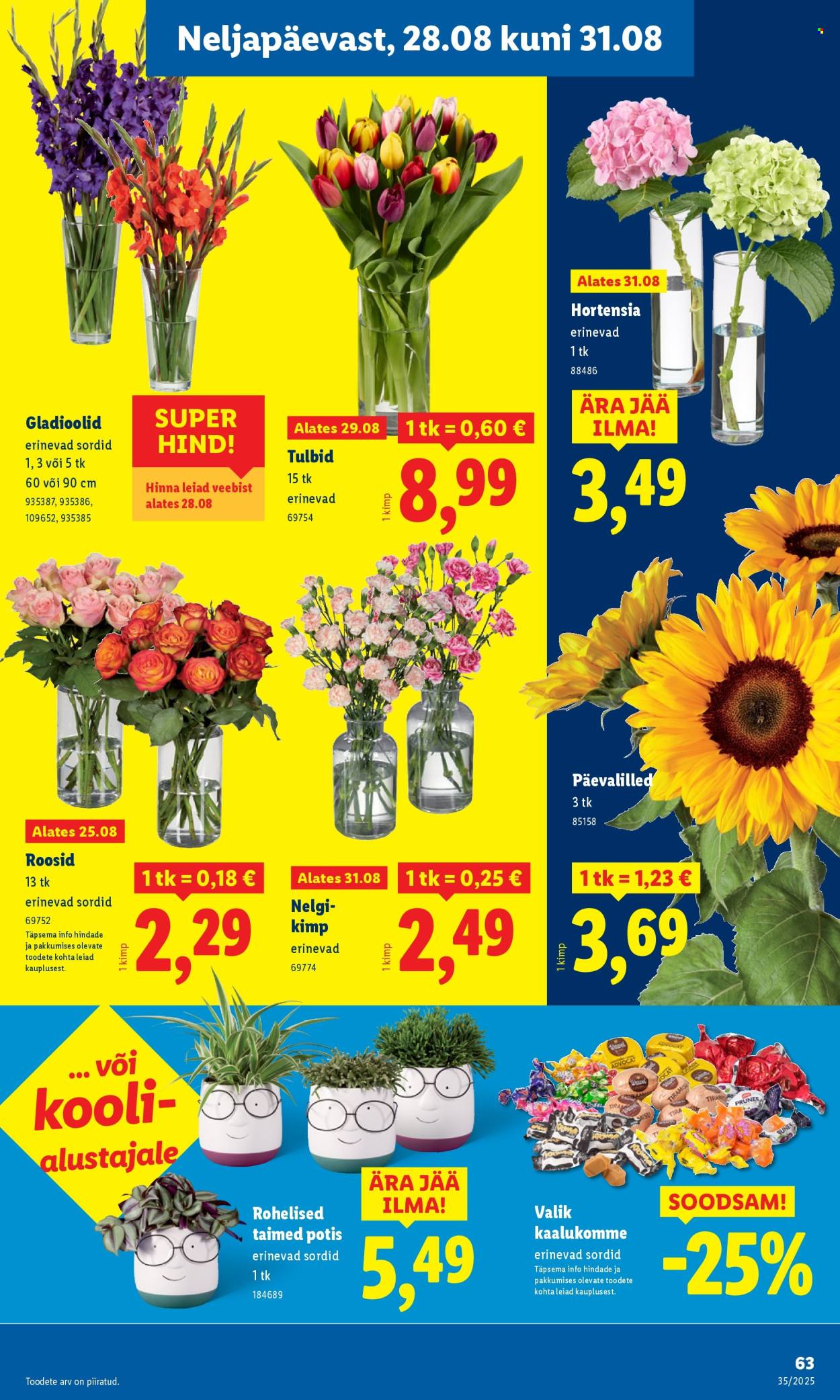 lidl - Lidl kliendileht - Kliendileht (25.08 - 31.08.2025) - page: 63 lidl - Lidl kliendileht - Kliendileht (25.08 - 31.08.2025) - page: 63