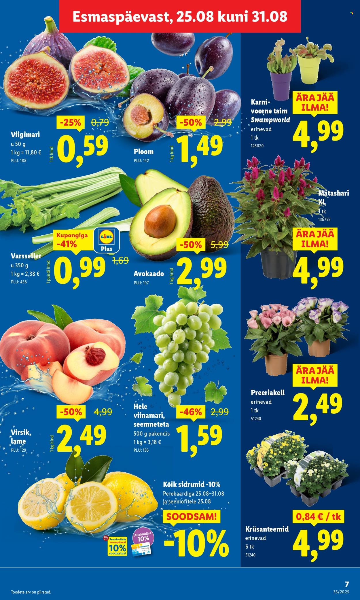 lidl - Lidl kliendileht - Kliendileht (25.08 - 31.08.2025) - page: 7 lidl - Lidl kliendileht - Kliendileht (25.08 - 31.08.2025) - page: 7