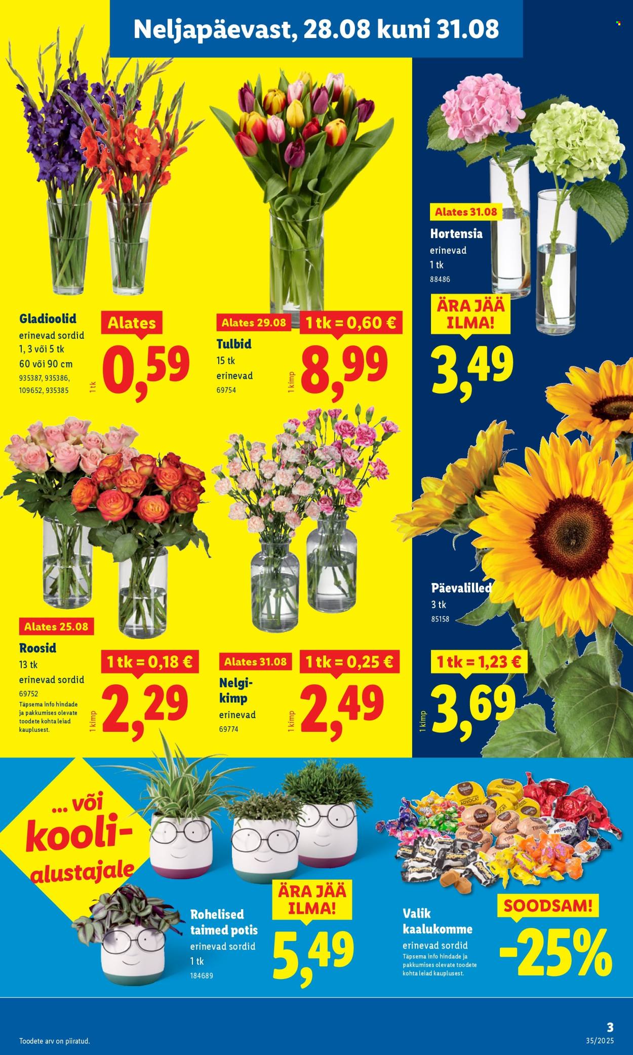 lidl - Lidl kliendileht - Nädalalõpu pakkumised (28.08 - 31.08.2025) - page: 3 lidl - Lidl kliendileht - Nädalalõpu pakkumised (28.08 - 31.08.2025) - page: 3