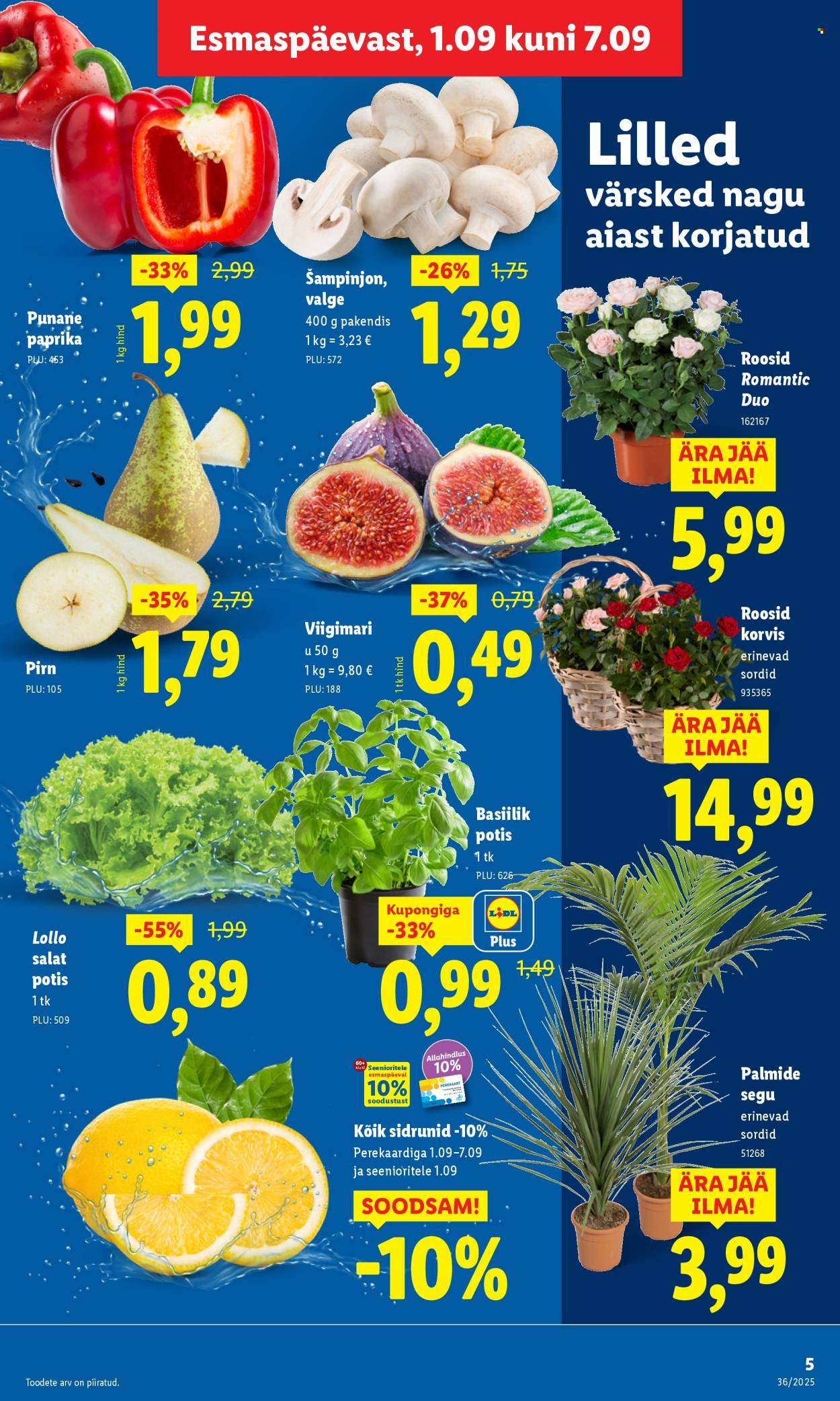 lidl - Lidl kliendileht - Kliendileht (1.09 - 7.09.2025) - page: 5