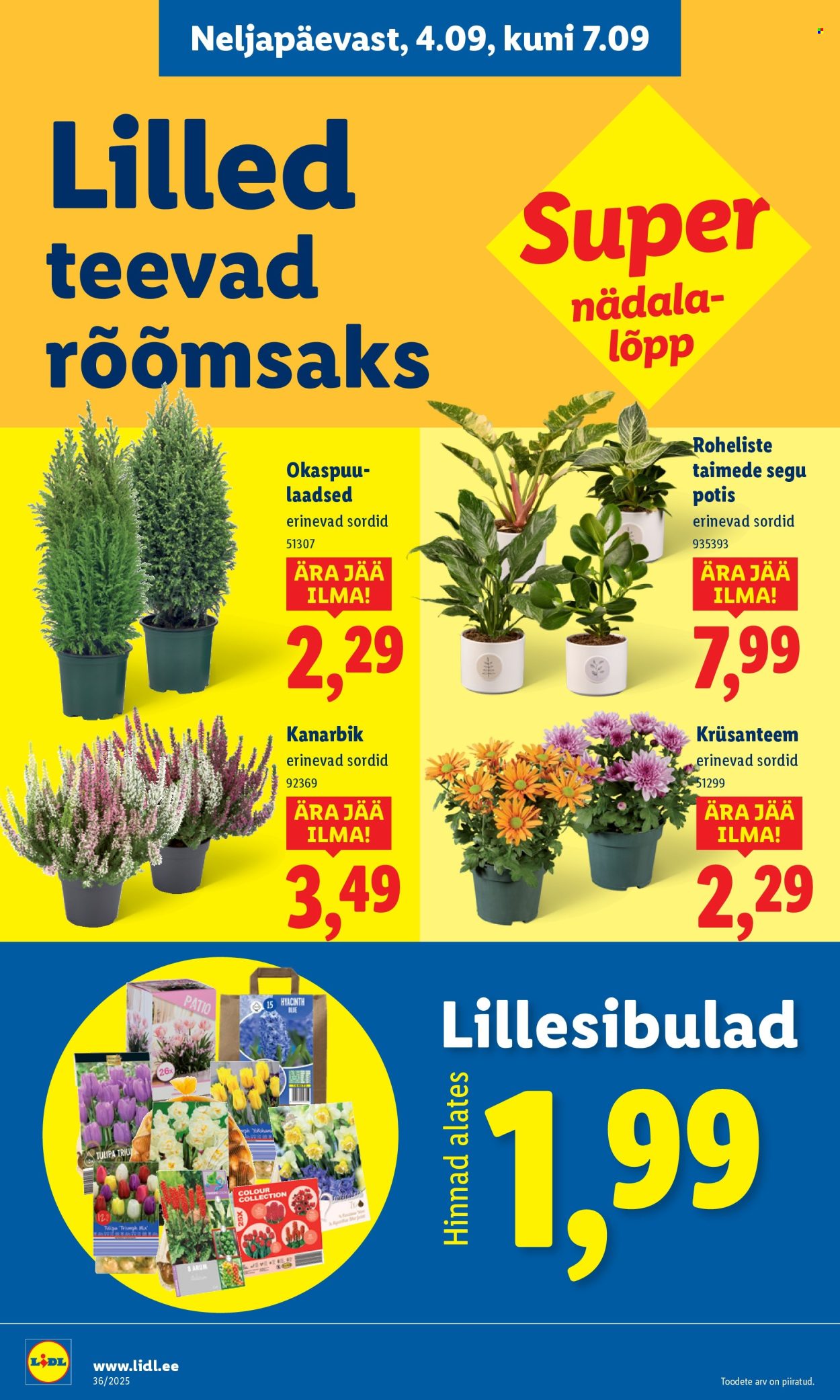 lidl - Lidl kliendileht - Kliendileht (1.09 - 7.09.2025) - page: 56