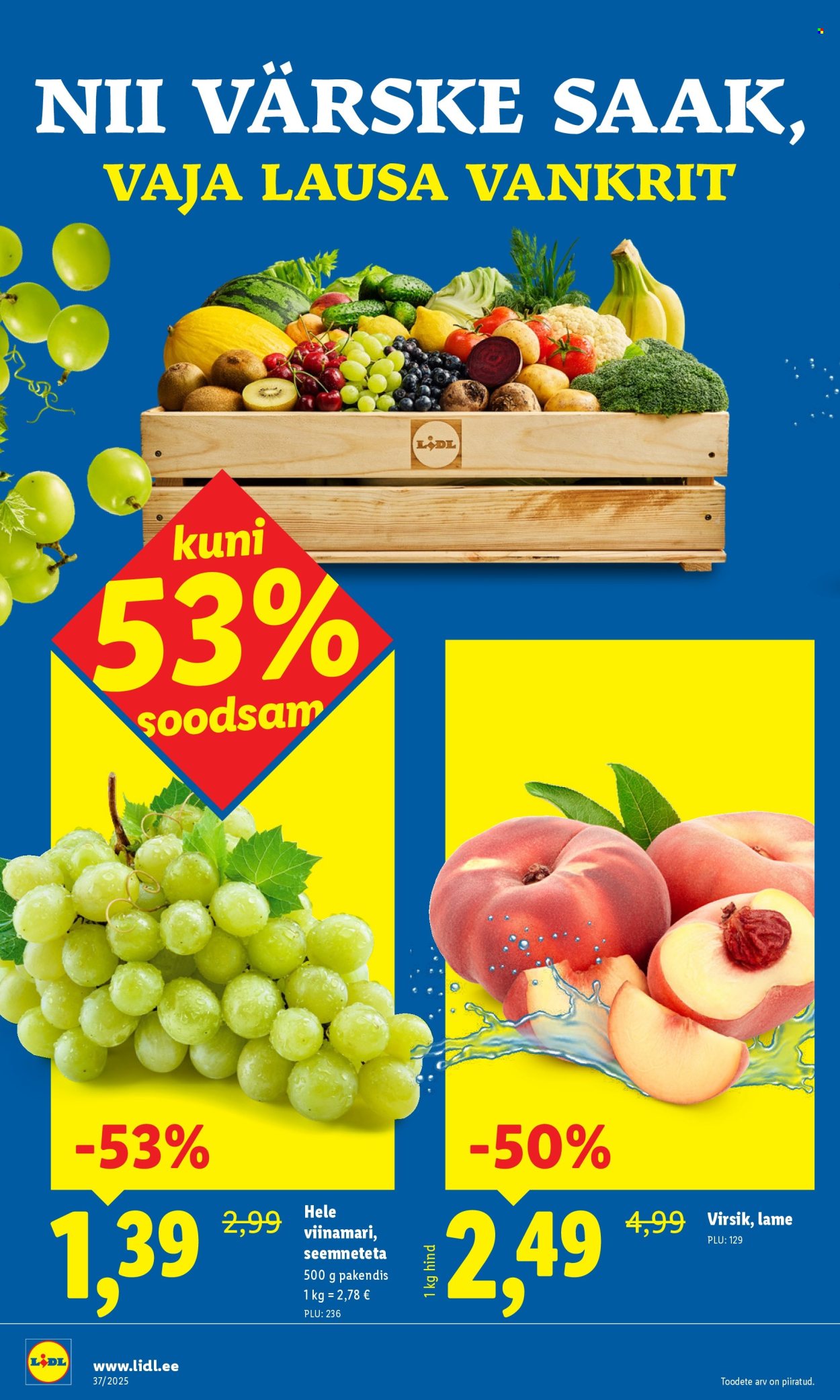 lidl - Lidl kliendileht - Kliendileht (8.09 - 14.09.2025) - page: 4
