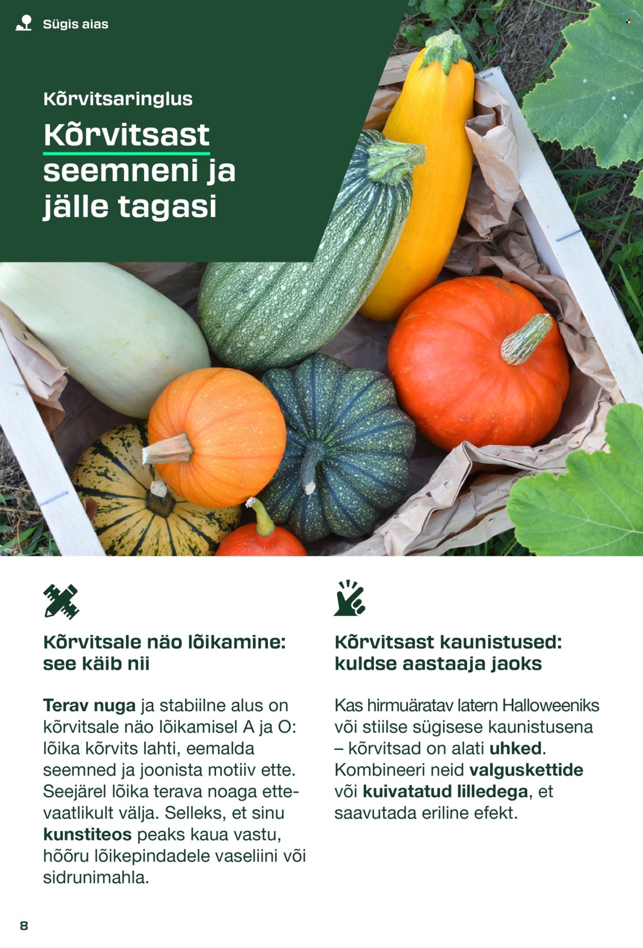 lidl - Lidl kliendileht - PARKSIDE kataloog - page: 8