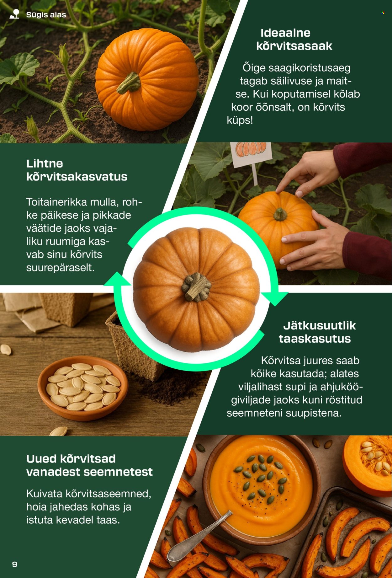 lidl - Lidl kliendileht - PARKSIDE kataloog - page: 9