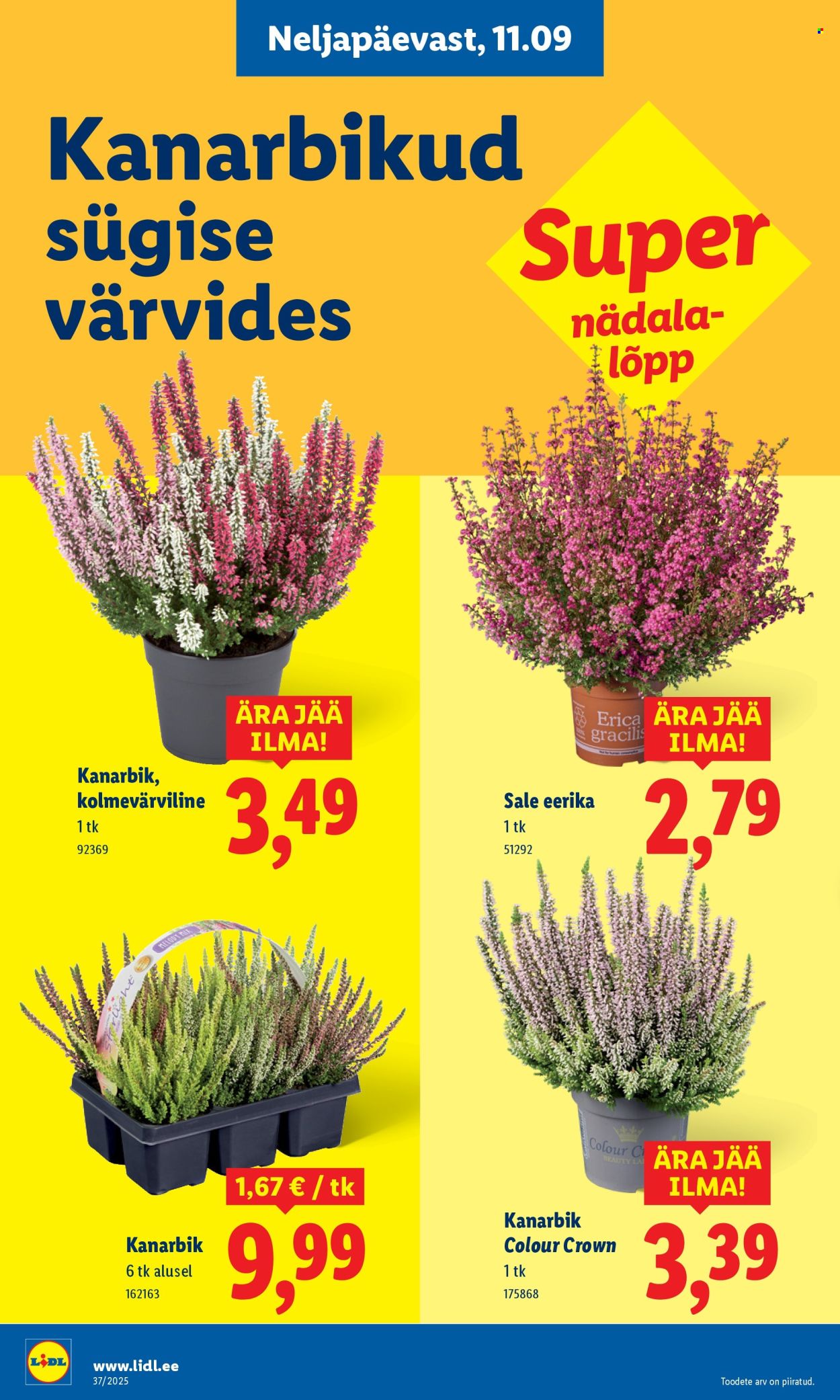 lidl - Lidl kliendileht - Nädalalõpu pakkumised (11.09 - 14.09.2025) - page: 8