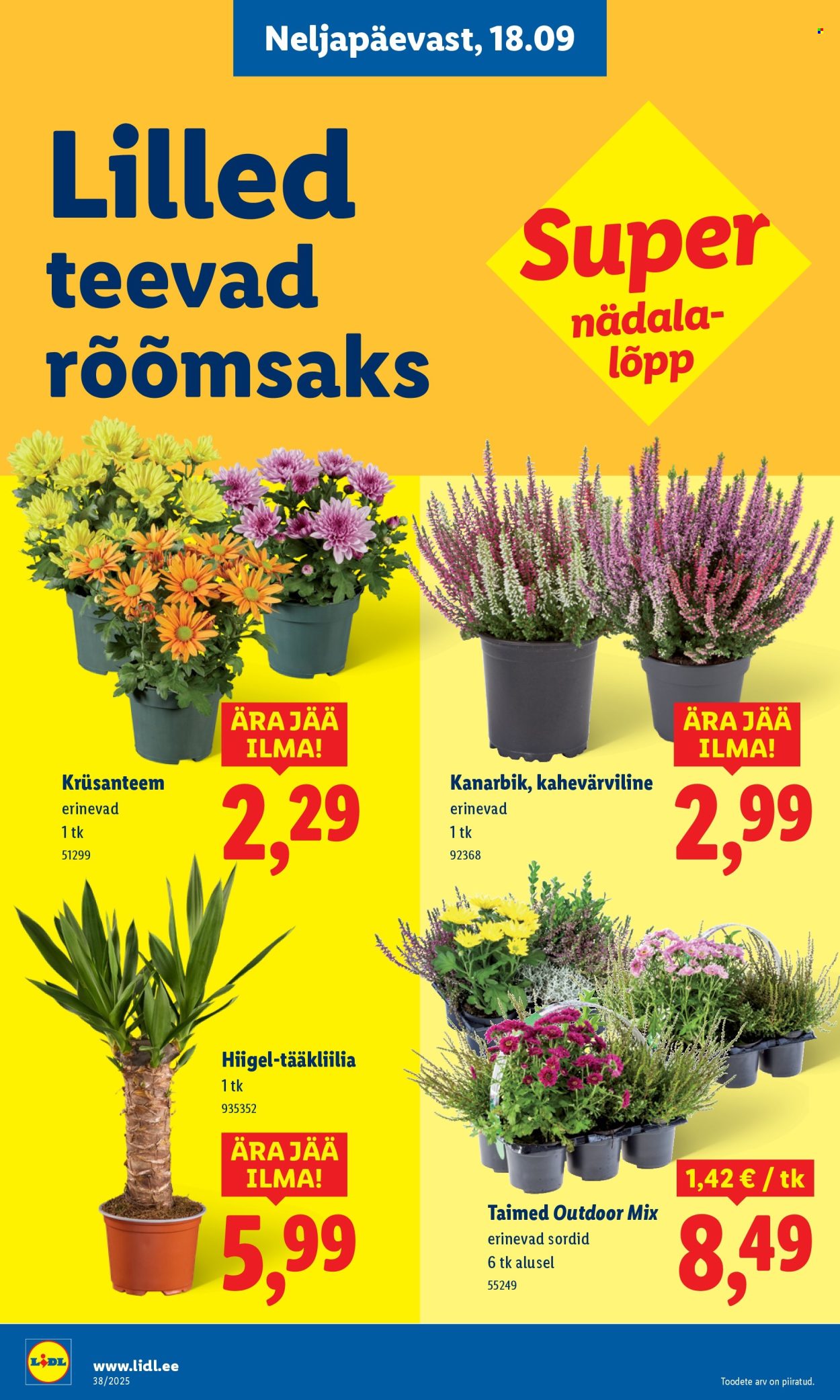 lidl - Lidl kliendileht - Kliendileht (15.09 - 21.09.2025) - page: 58