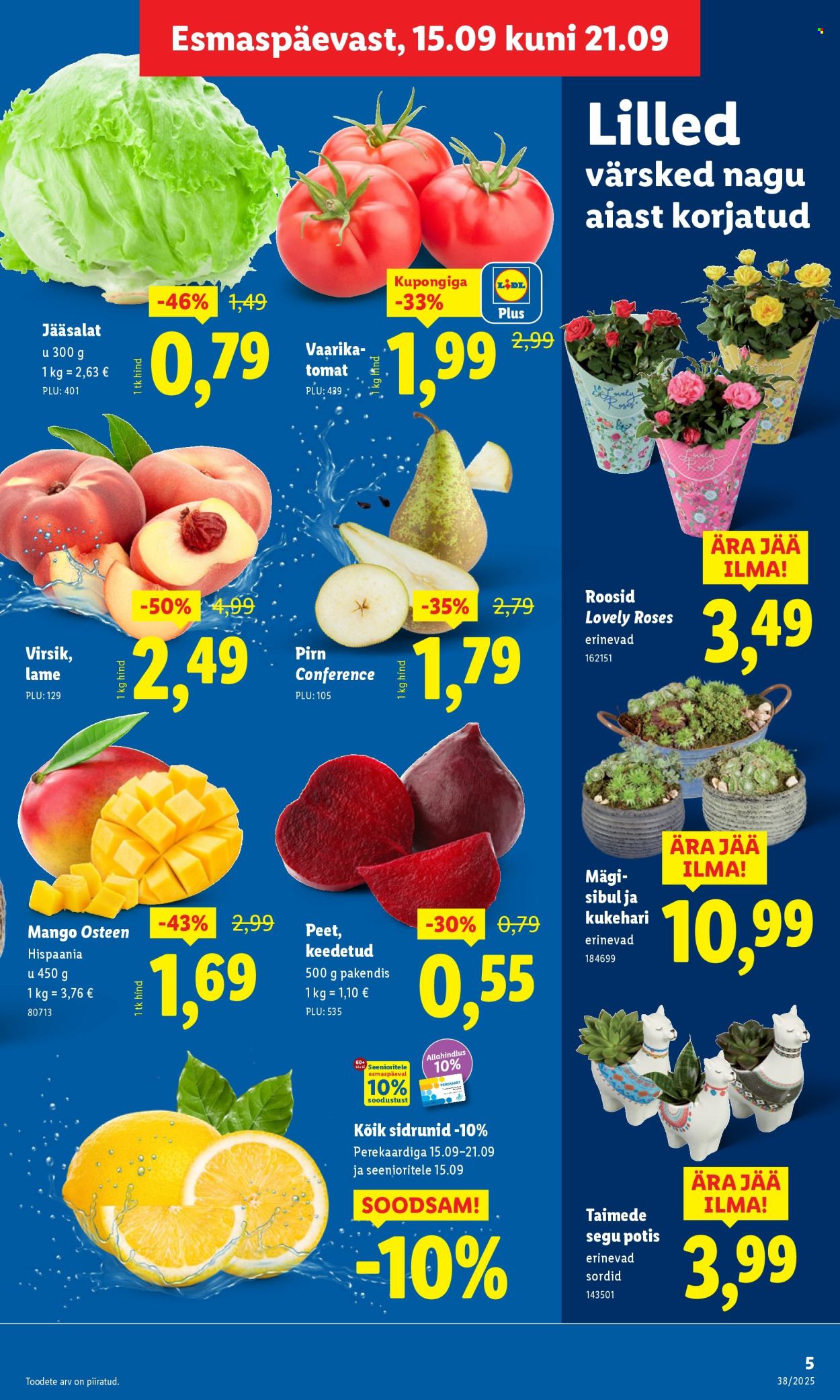 lidl - Lidl kliendileht - Kliendileht (15.09 - 21.09.2025) - page: 5
