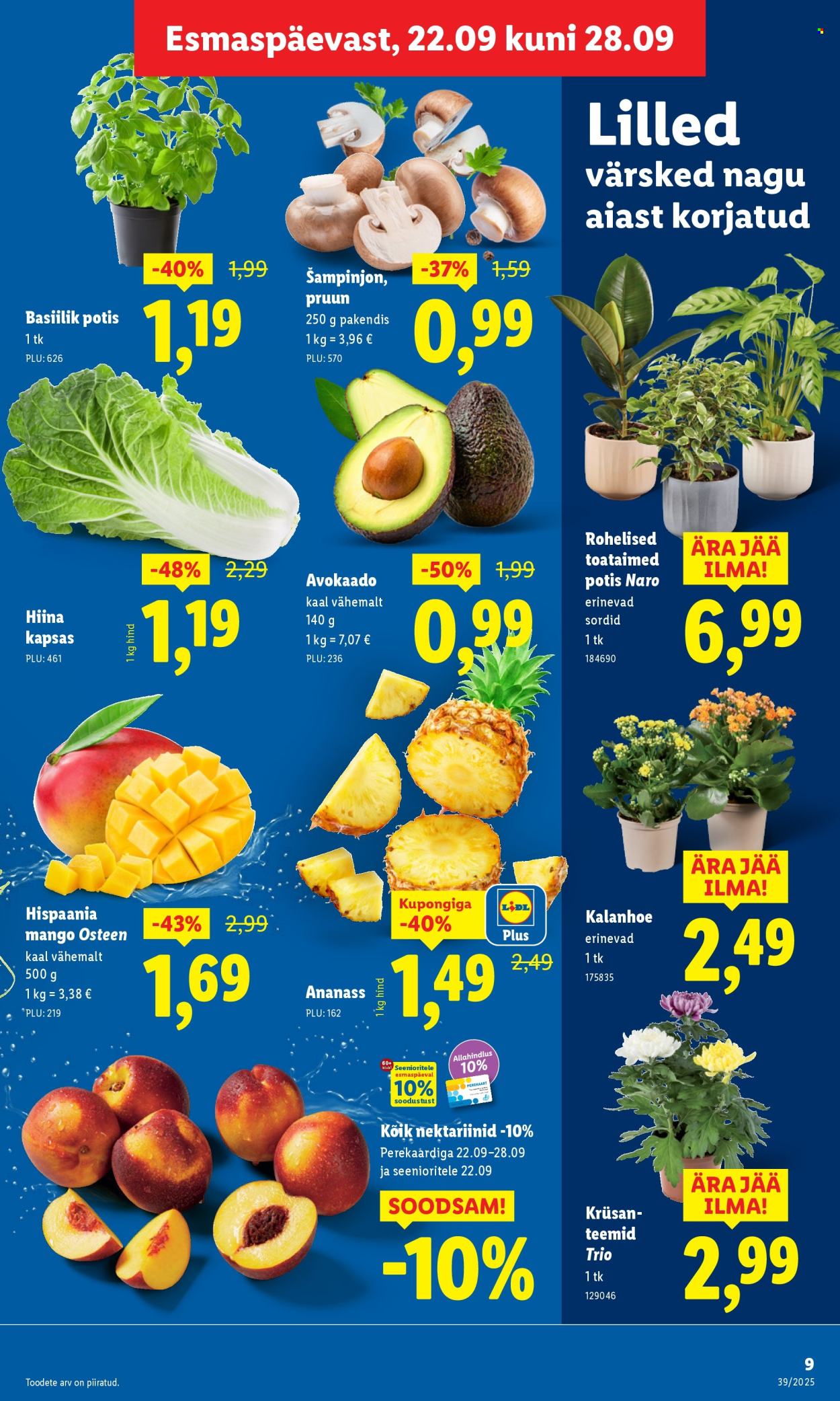 lidl - Lidl kliendileht - Kliendileht (22.09 - 28.09.2025) - page: 9