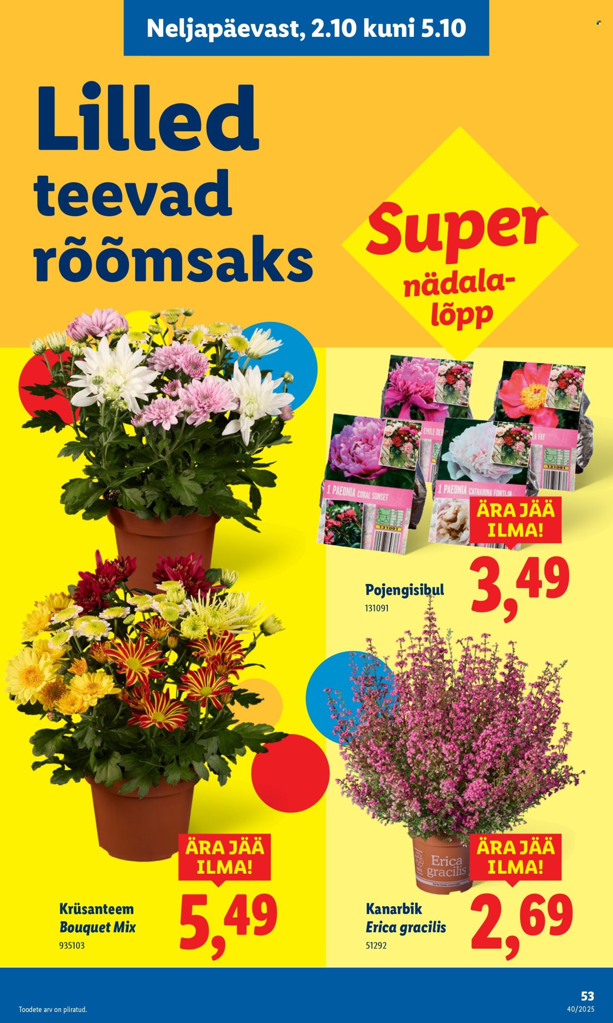 lidl - Lidl kliendileht - Kliendileht (29.09 - 5.10.2025) - page: 53