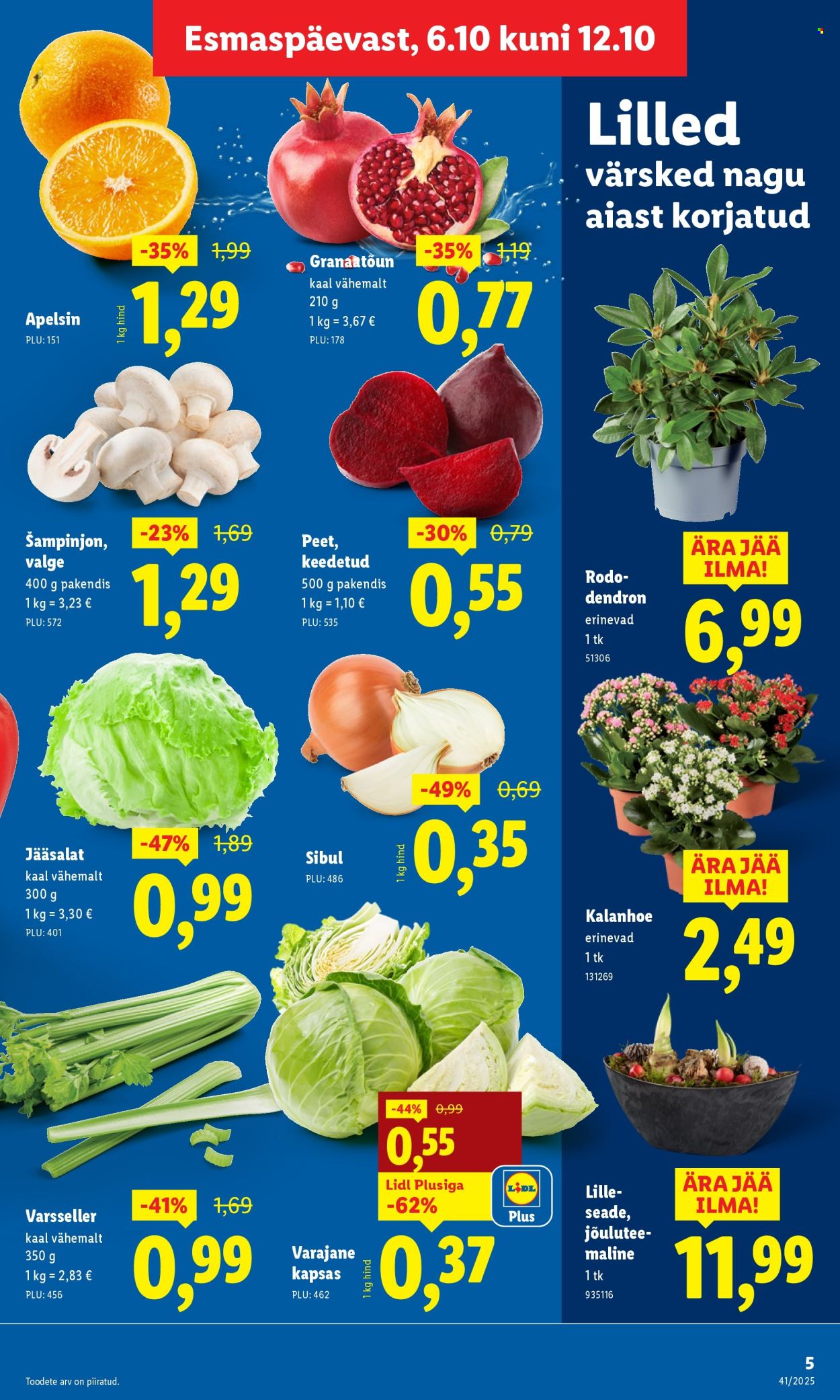 lidl - Lidl kliendileht - Kliendileht (6.10 - 12.10.2025) - page: 5