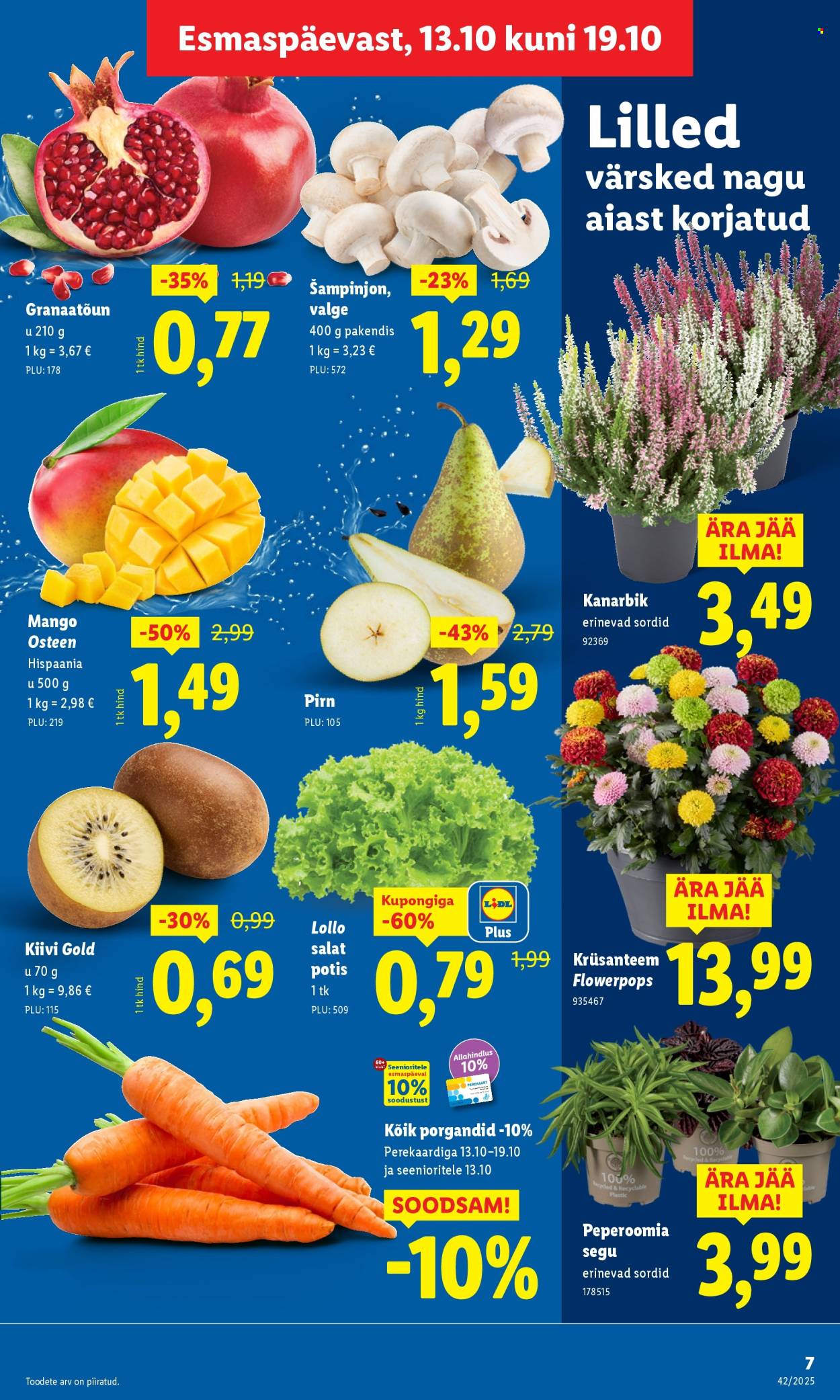 lidl - Lidl kliendileht - Kliendileht (13.10 - 19.10.2025) - page: 7