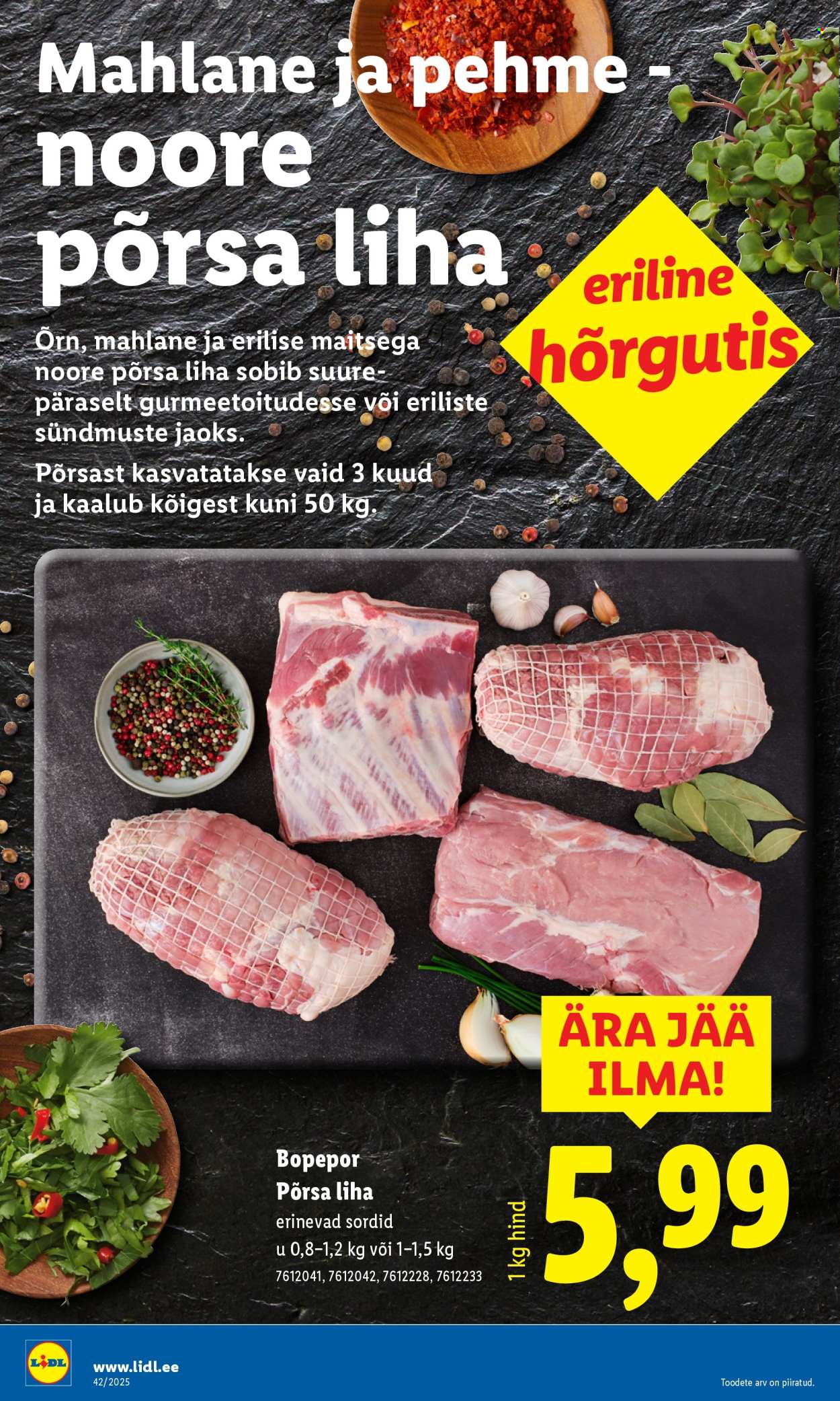 lidl - Lidl kliendileht - Kliendileht (13.10 - 19.10.2025) - page: 10