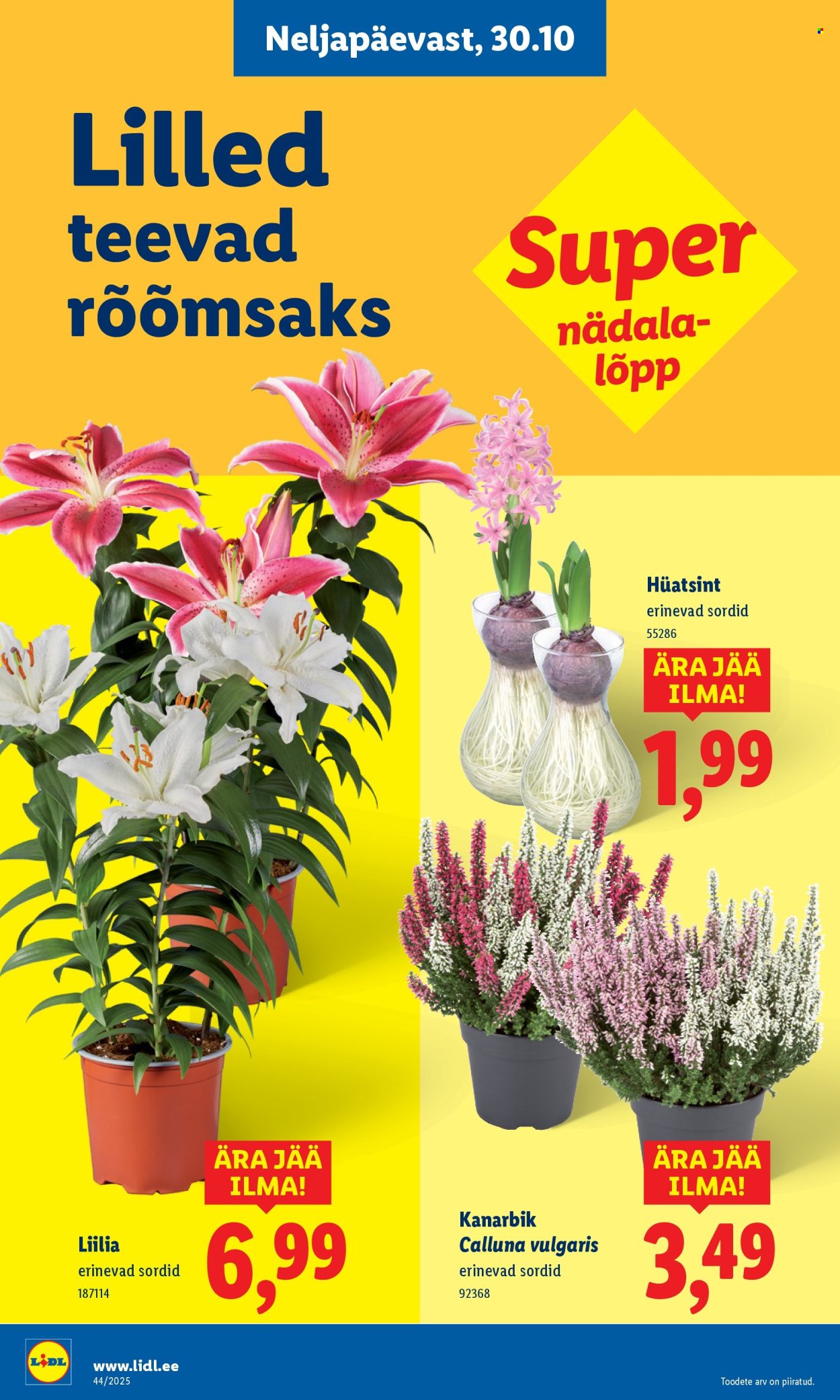 lidl - Lidl kliendileht - Nädalalõpu pakkumised (30.10 - 2.11.2025) - page: 6