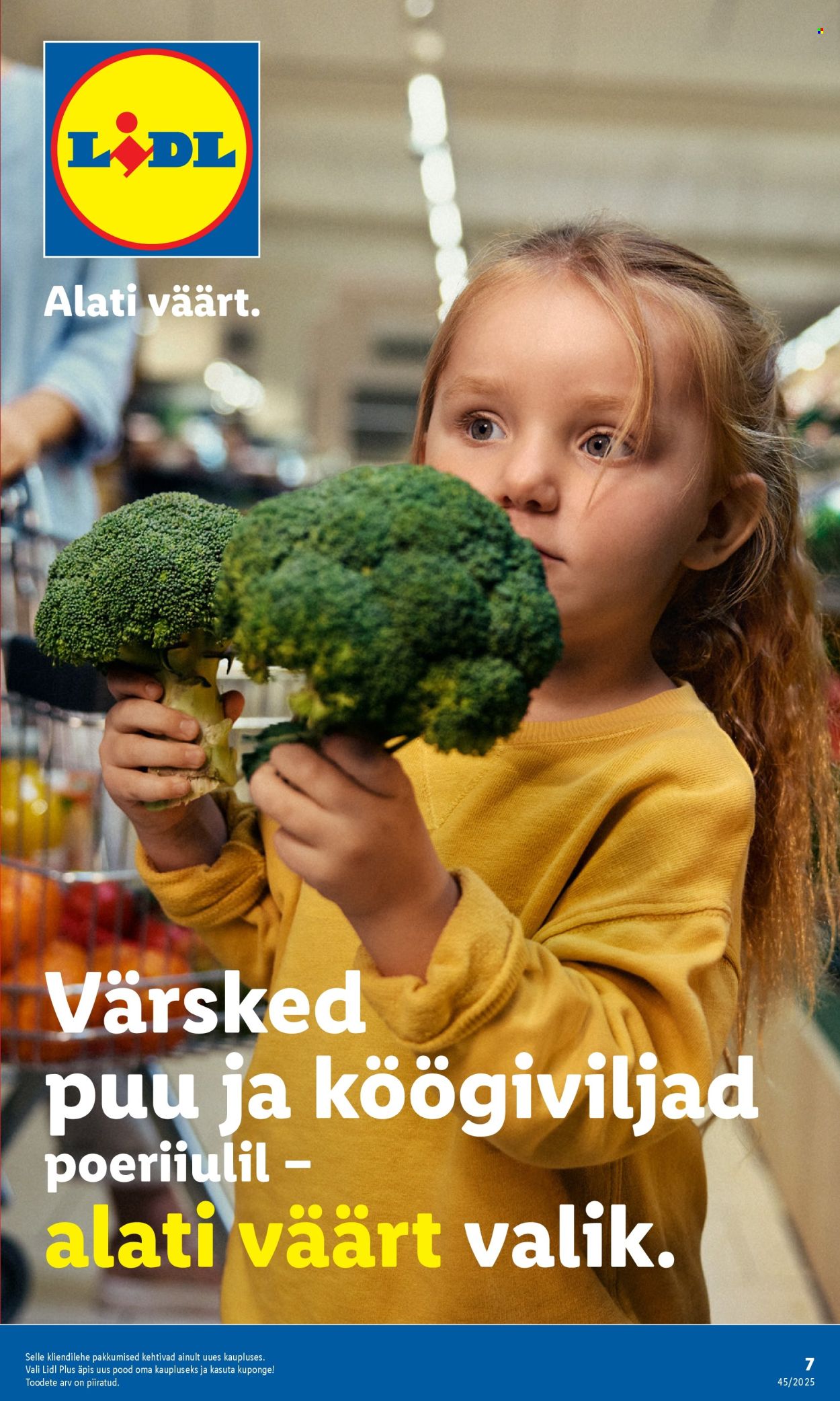 lidl - Lidl kliendileht - Viljandi, Riia mnt 1 (3.11 - 9.11.2025) - page: 7