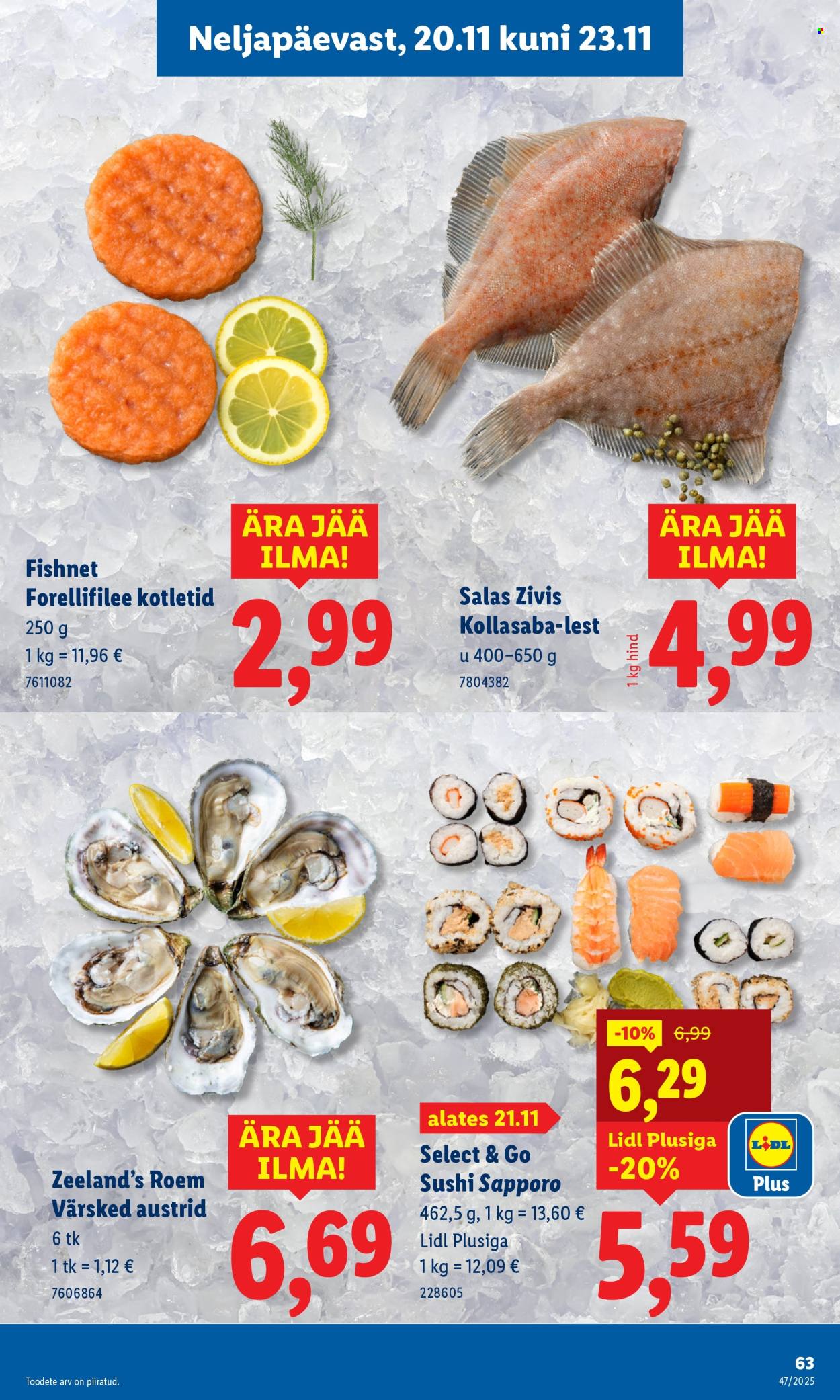 lidl - Lidl kliendileht - Kliendileht (17.11 - 23.11.2025) - page: 63