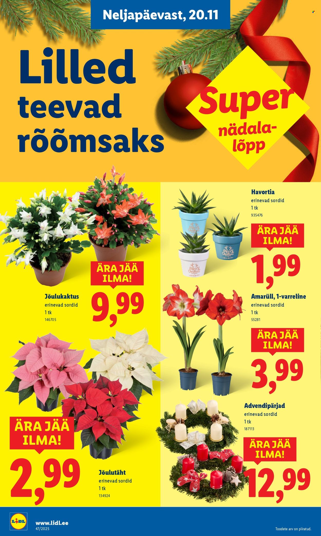 lidl - Lidl kliendileht - Kliendileht (17.11 - 23.11.2025) - page: 58