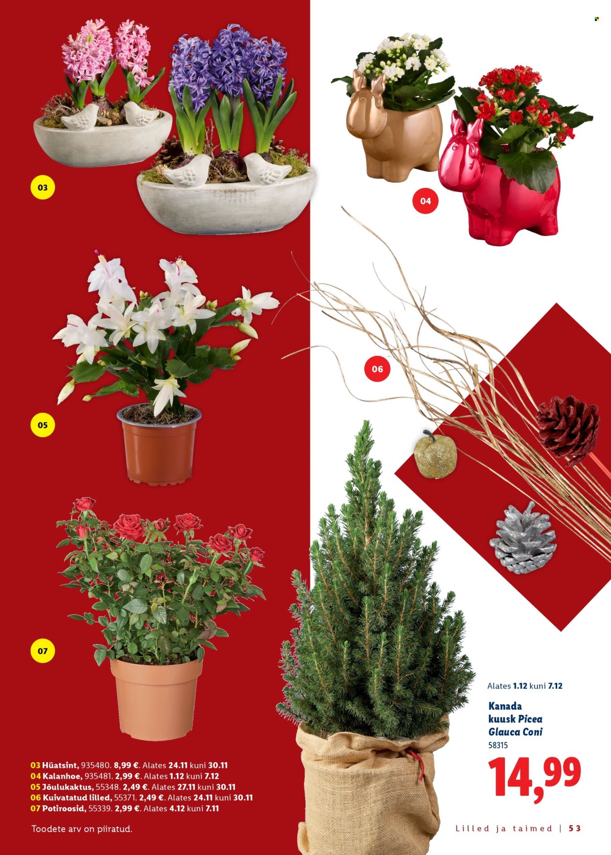 lidl - Lidl kliendileht - Jõulutoidu kataloog Deluxe - page: 53