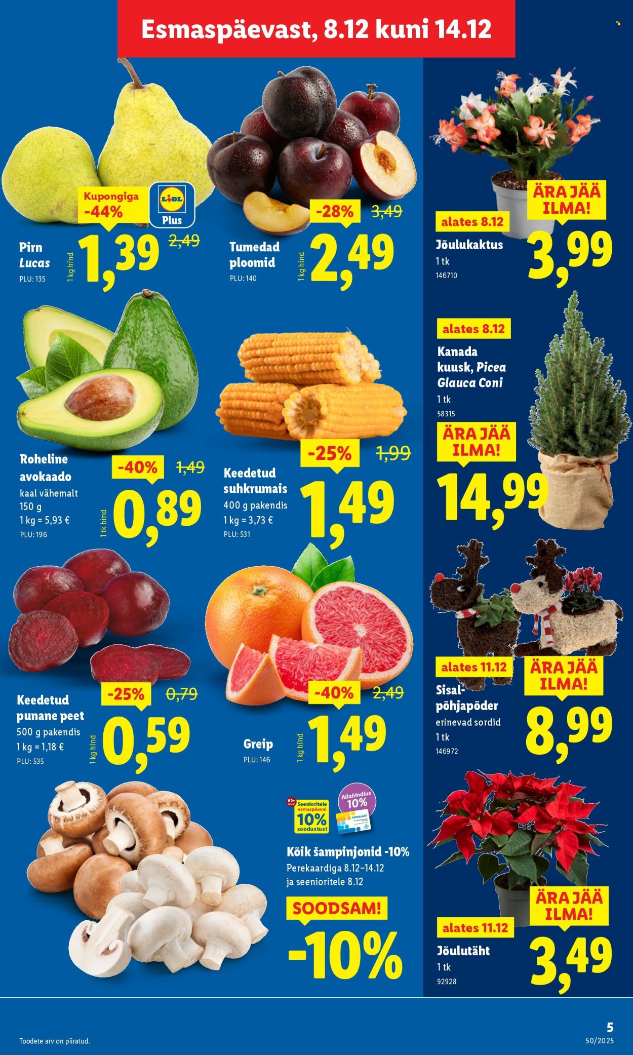 lidl - Lidl kliendileht - Kliendileht (8.12 - 14.12.2025) - page: 5