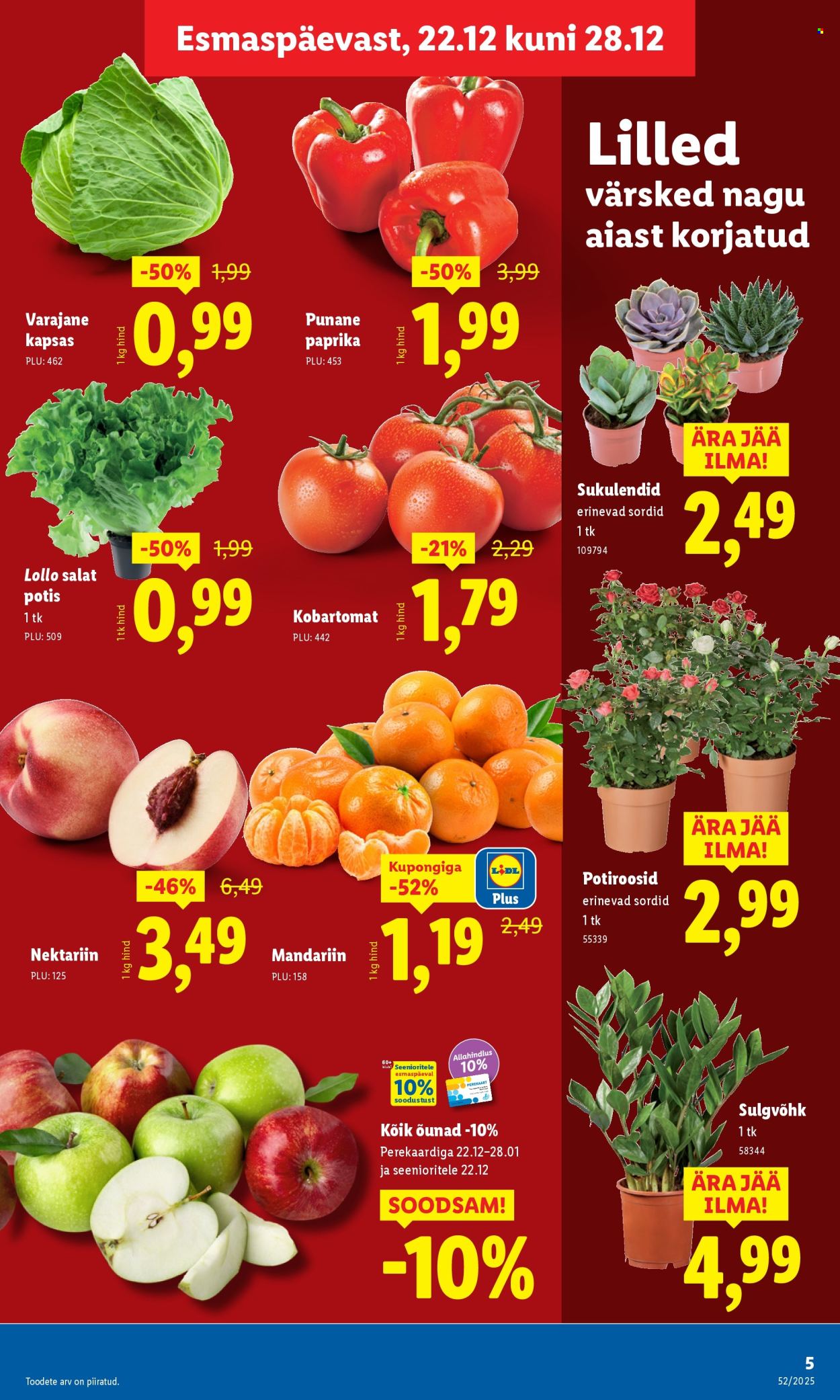 lidl - Lidl kliendileht - Kliendileht (22.12 - 28.12.2025) - page: 5