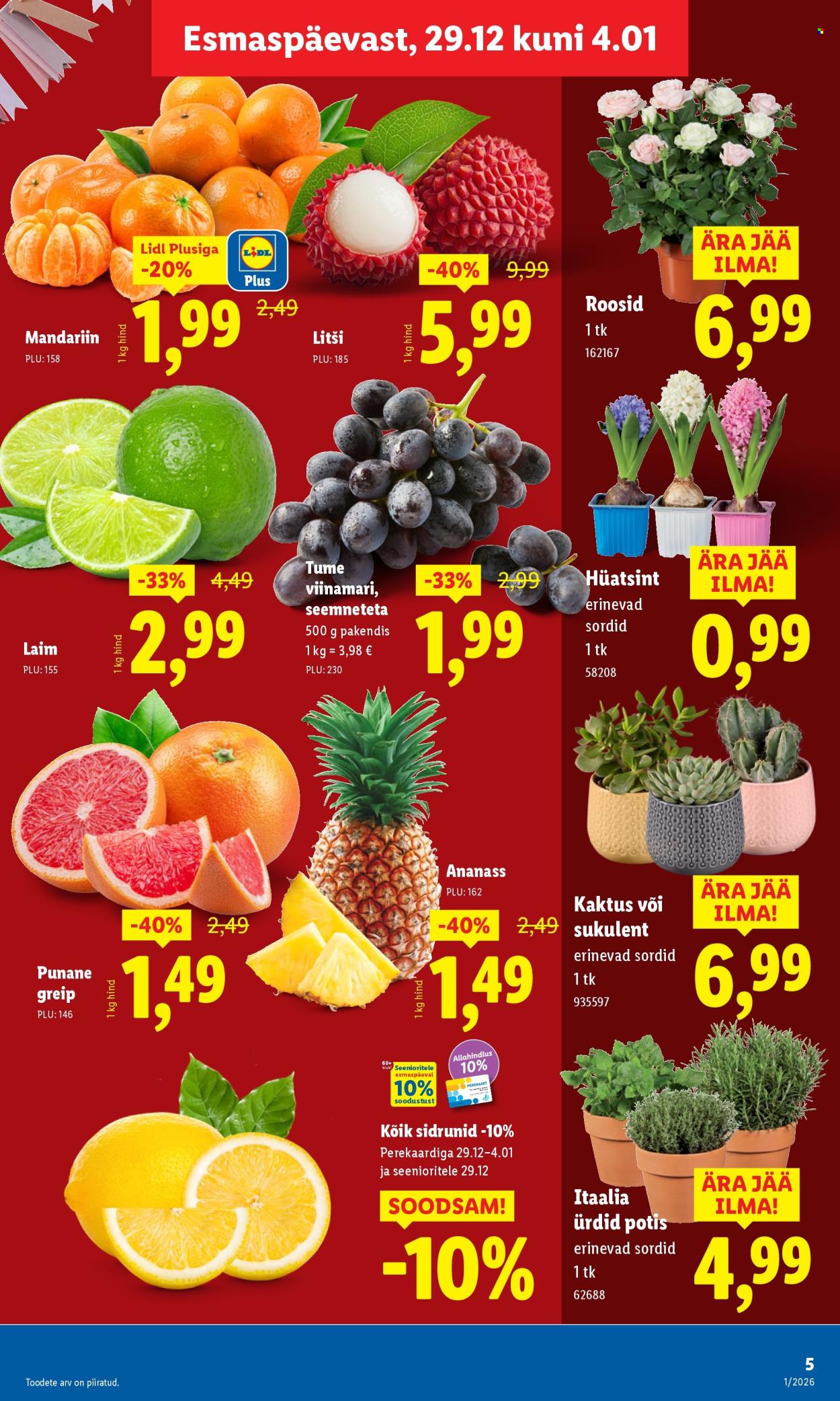 lidl - Lidl kliendileht - Kliendileht (29.12.2025 - 4.01.2026) - page: 5