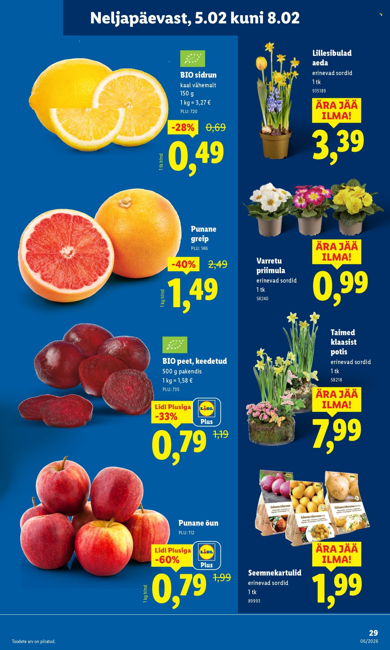 lidl - Lidl kliendileht - Kliendileht (2.02 - 8.02.2026) - page: 29