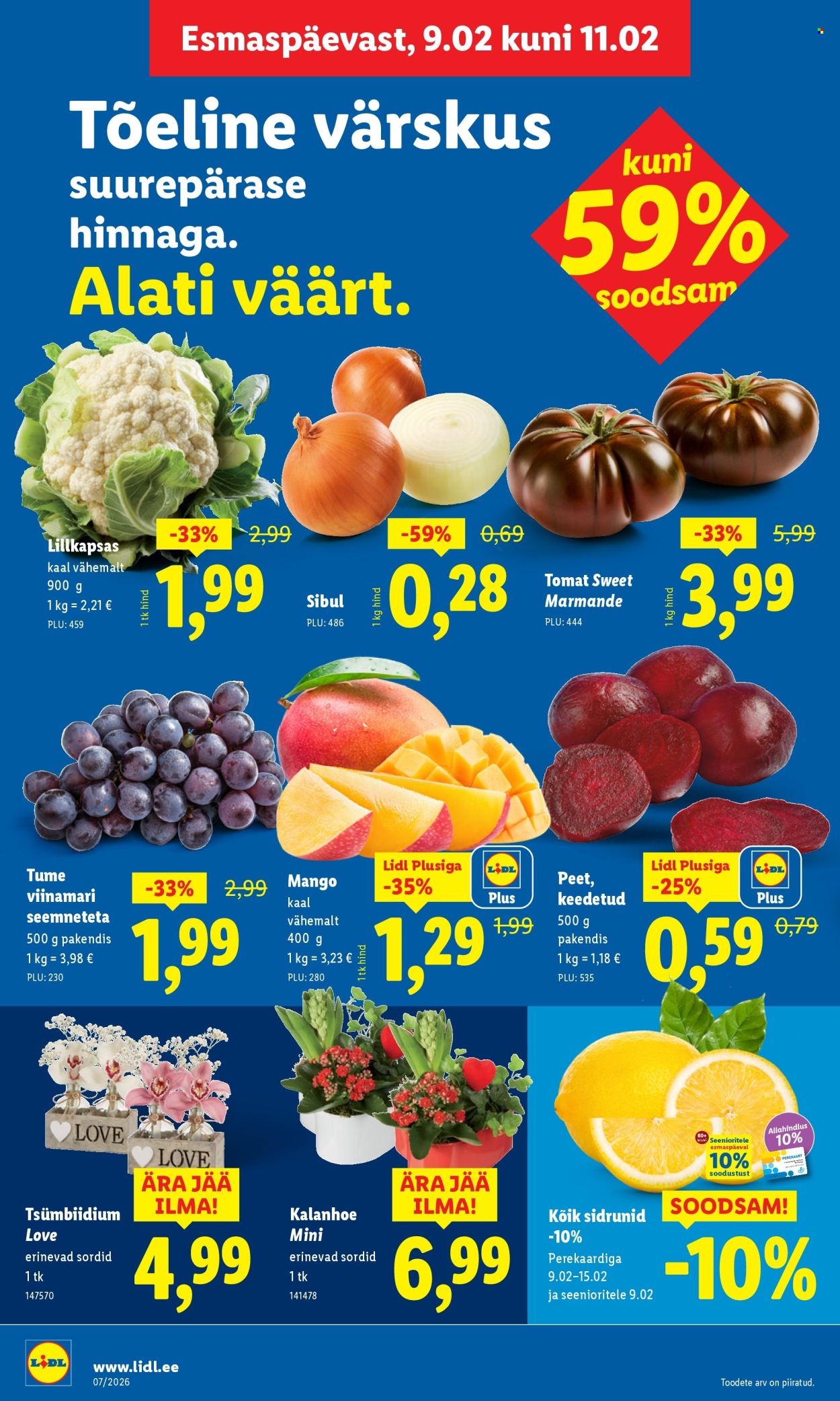 lidl - Lidl kliendileht - Kliendileht (9.02 - 15.02.2026) - page: 4