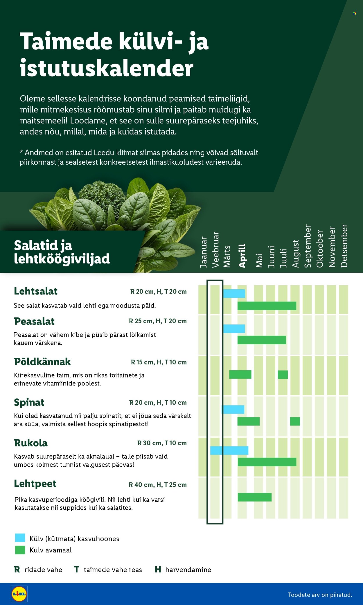 lidl - Lidl kliendileht - Aiakataloog (16.02 - 26.02.2026) - page: 4