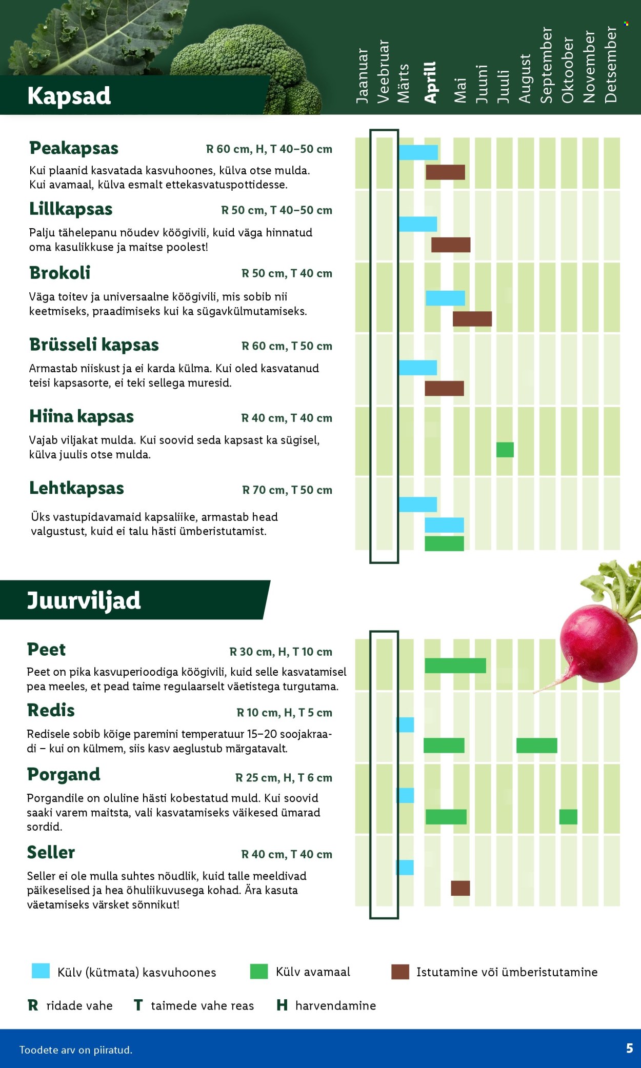 lidl - Lidl kliendileht - Aiakataloog (16.02 - 26.02.2026) - page: 5