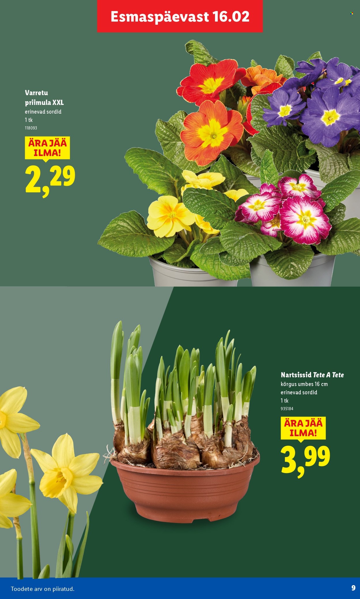 lidl - Lidl kliendileht - Aiakataloog (16.02 - 26.02.2026) - page: 9