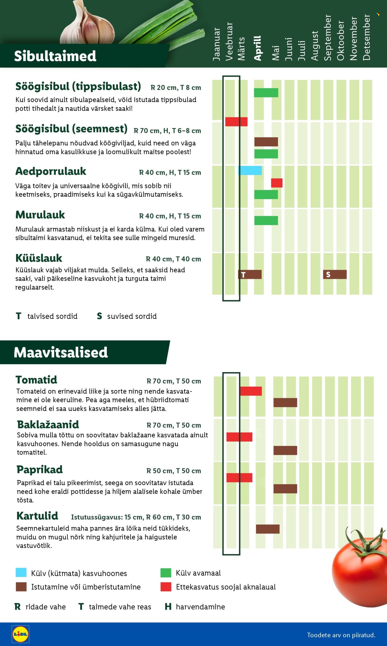 lidl - Lidl kliendileht - Aiakataloog (16.02 - 26.02.2026) - page: 6