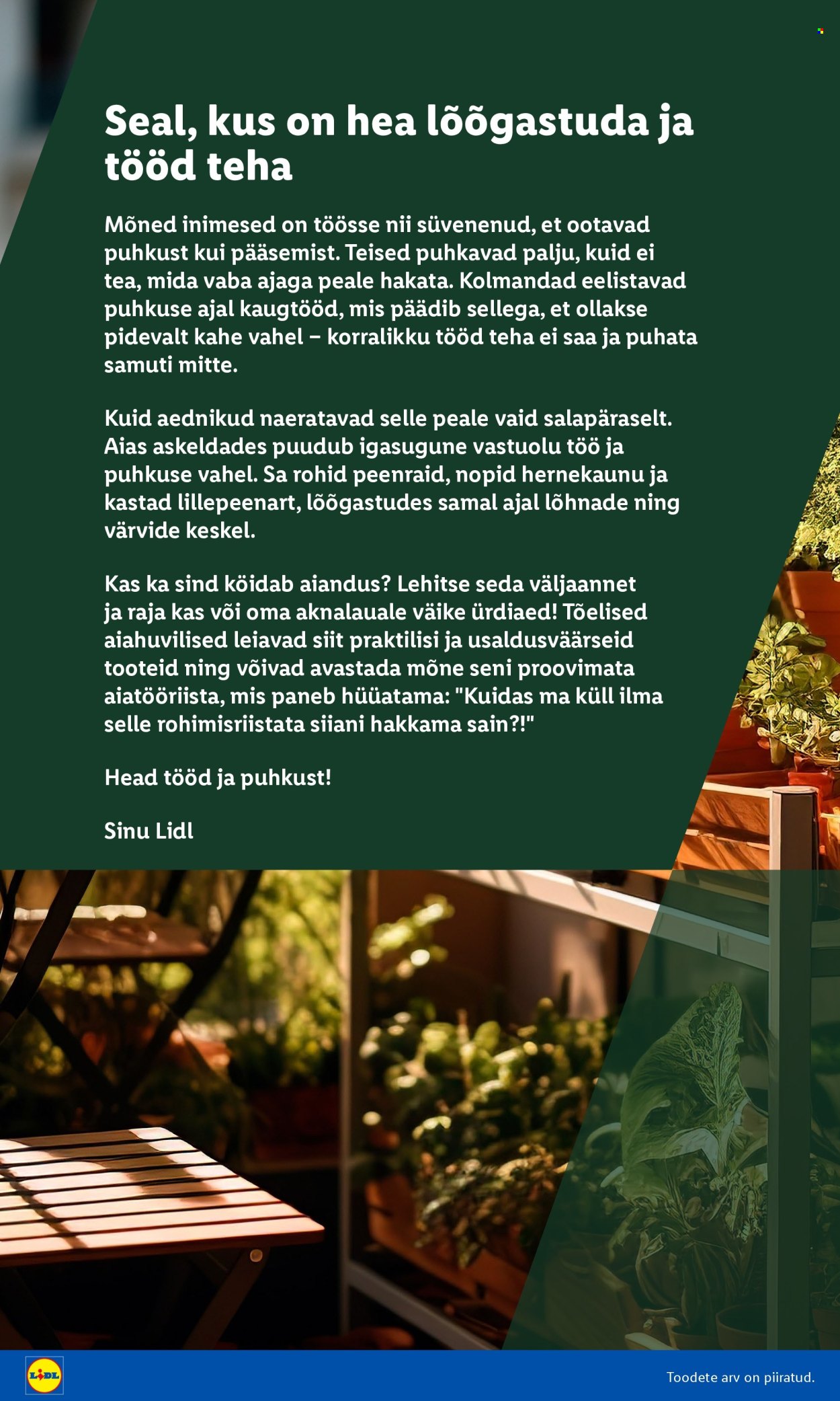 lidl - Lidl kliendileht - Aiakataloog (16.02 - 26.02.2026) - page: 2
