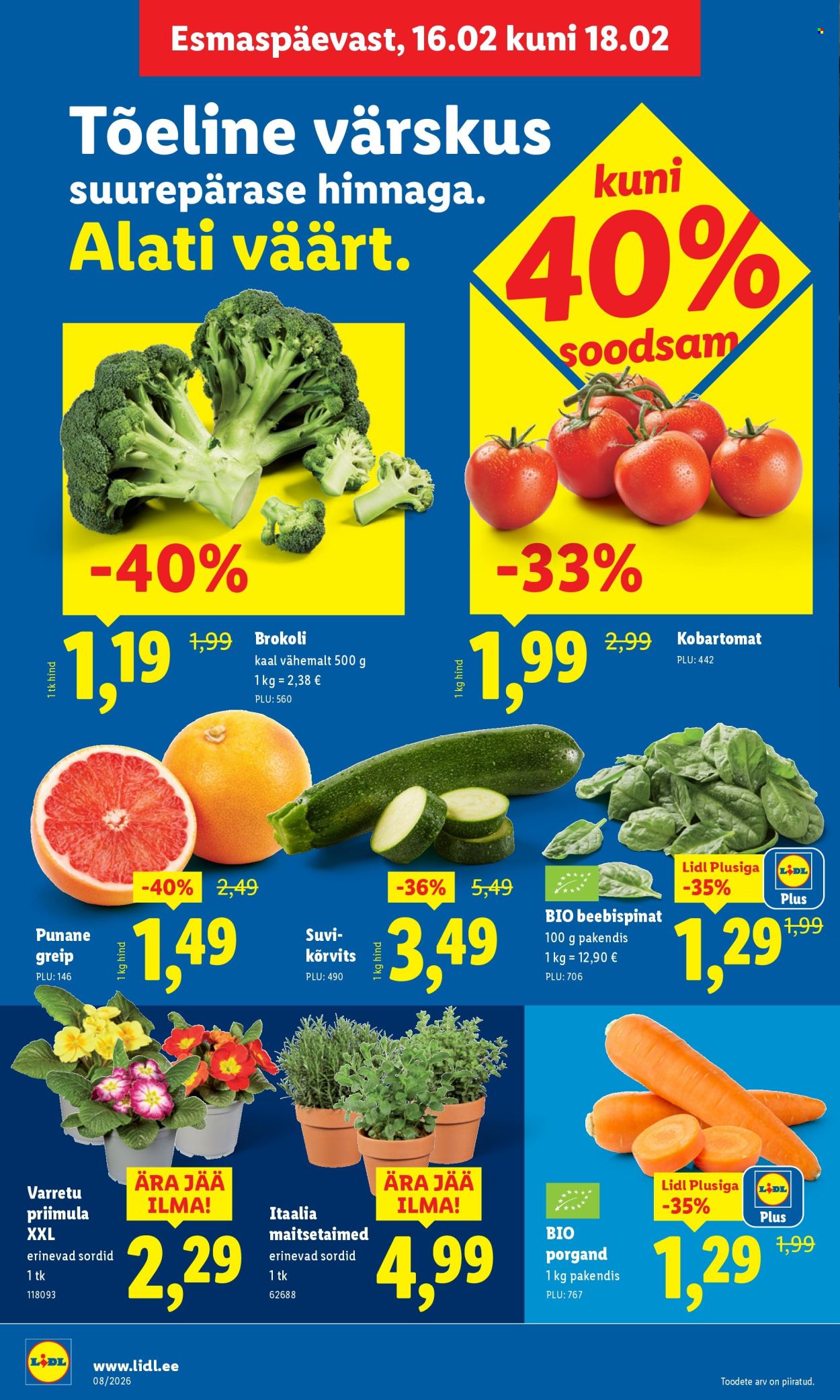 lidl - Lidl kliendileht - Kliendileht (16.02 - 22.02.2026) - page: 4