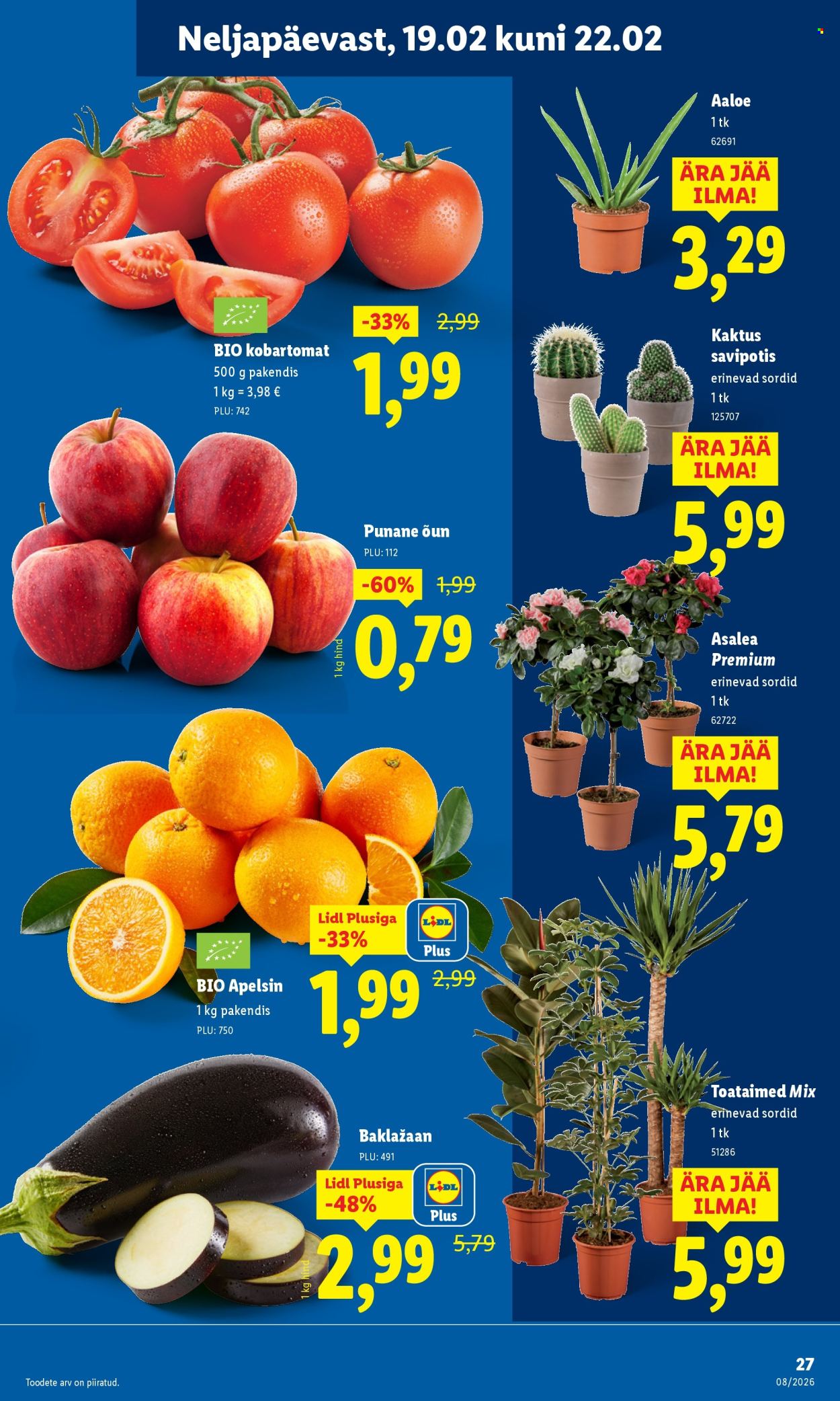 lidl - Lidl kliendileht - Kliendileht (16.02 - 22.02.2026) - page: 35