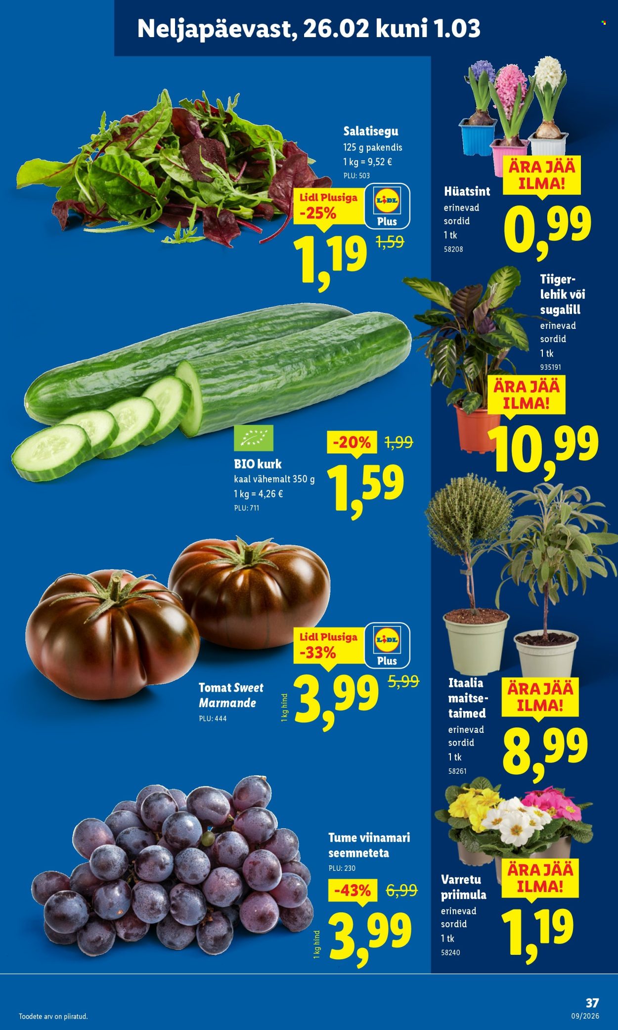 lidl - Lidl kliendileht - Kliendileht (23.02 - 1.03.2026) - page: 37