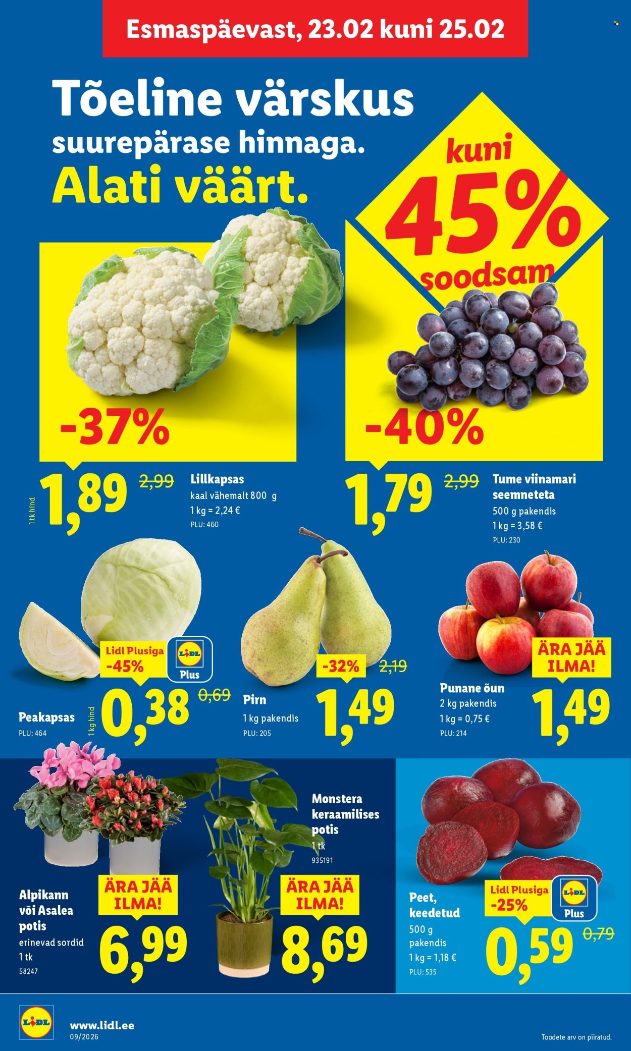 lidl - Lidl kliendileht - Kliendileht (23.02 - 1.03.2026) - page: 4
