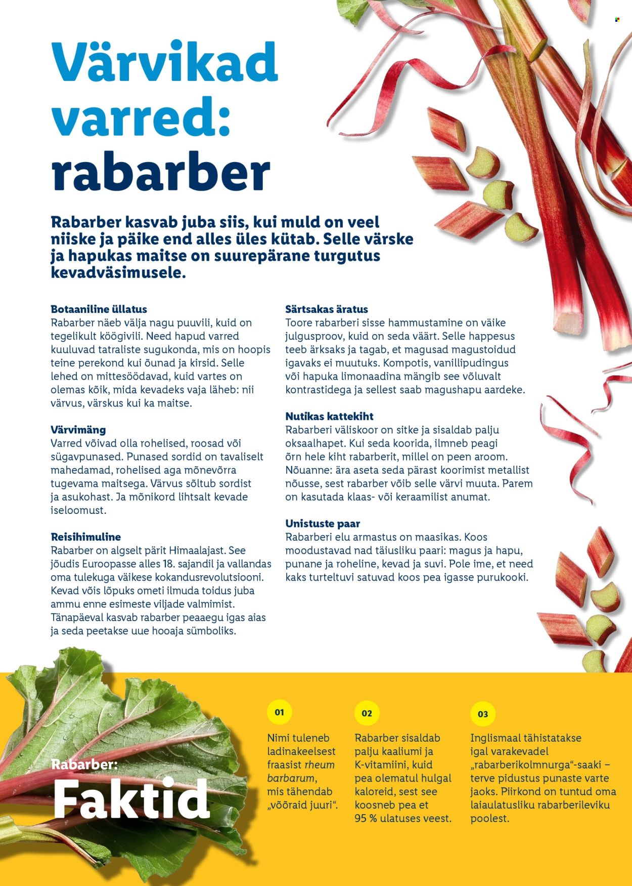 lidl - Lidl kliendileht - Rõõmu täis lihavõtted - page: 64